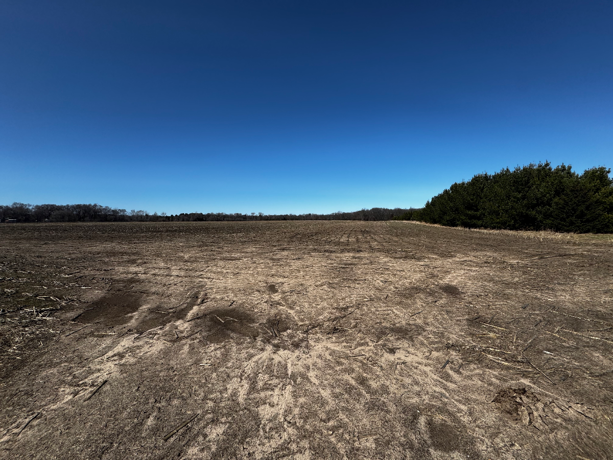 Town of Lewiston Columbia County WI 31 acres of tillable ag land