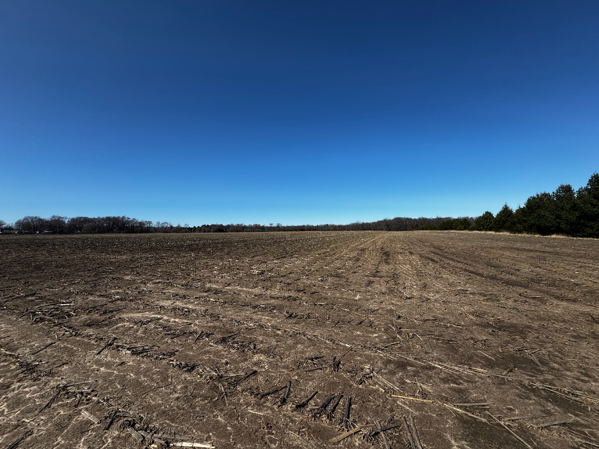 Town of Lewiston Columbia County WI 31 acres of tillable ag land