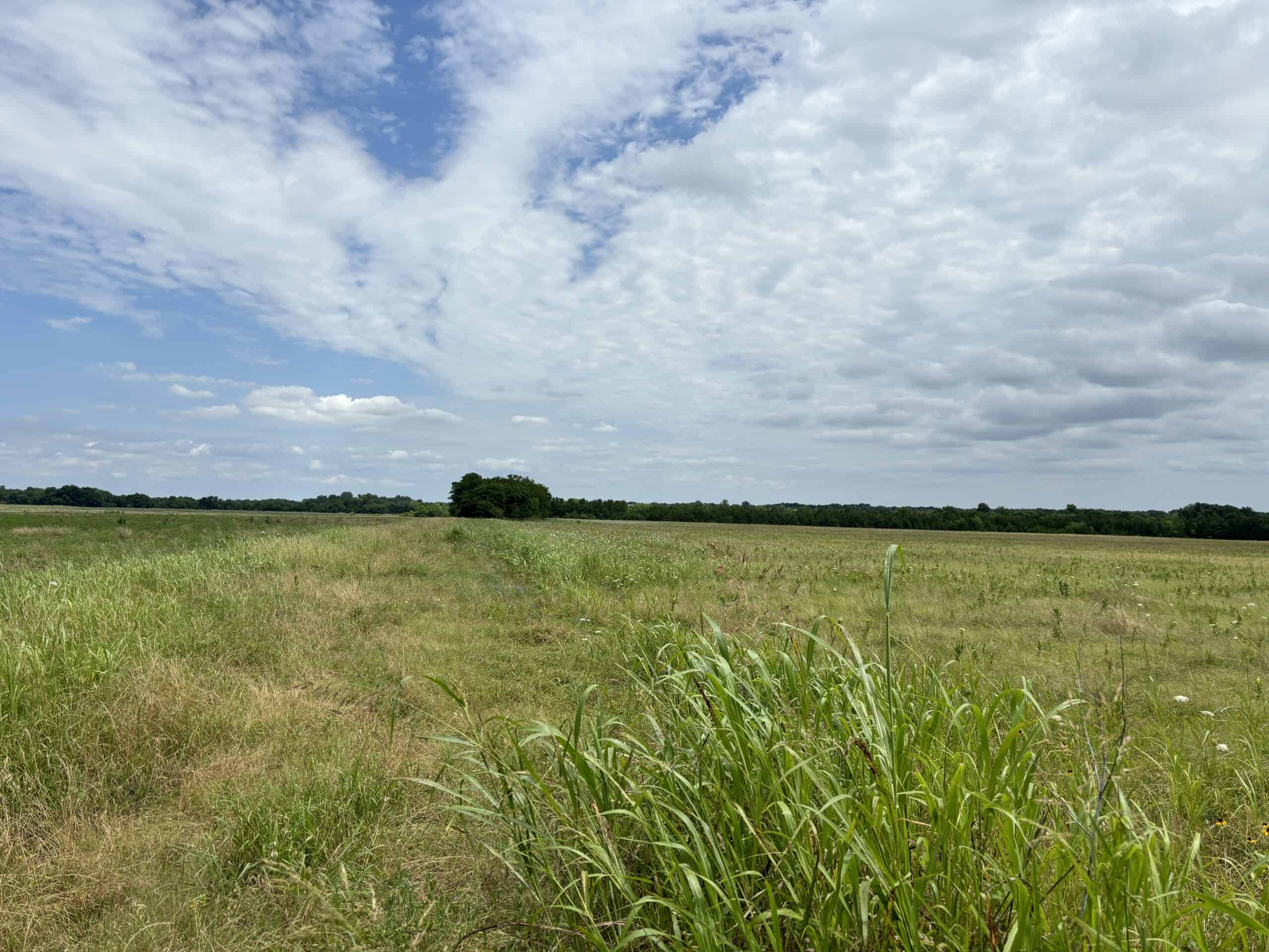 23-Acres of Scenic Land in NE TX