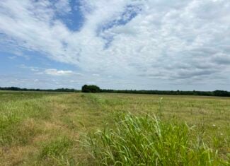 22-Acres of Scenic Land in NE Texas