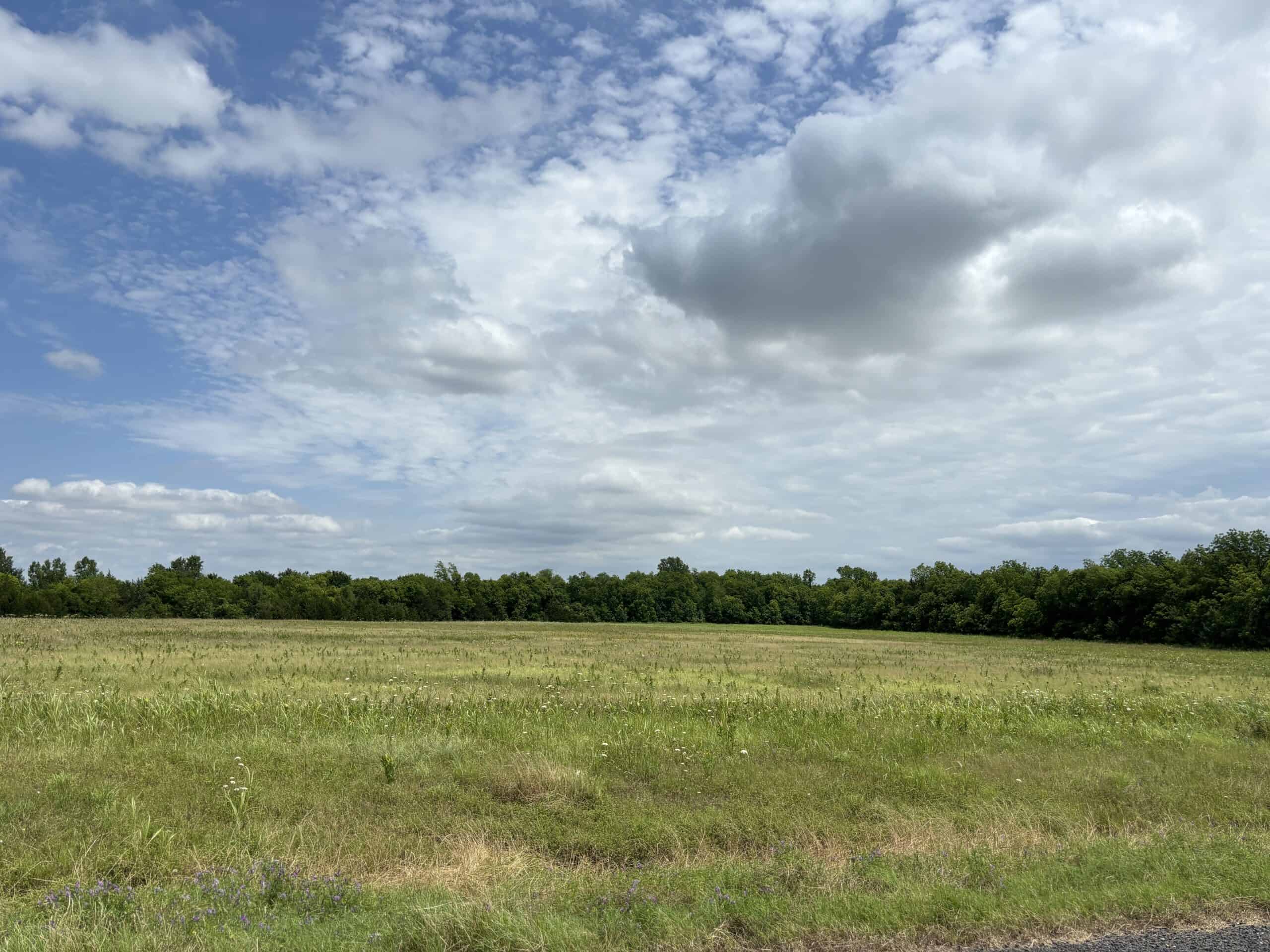 22-Acres of Scenic Land in NE Texas