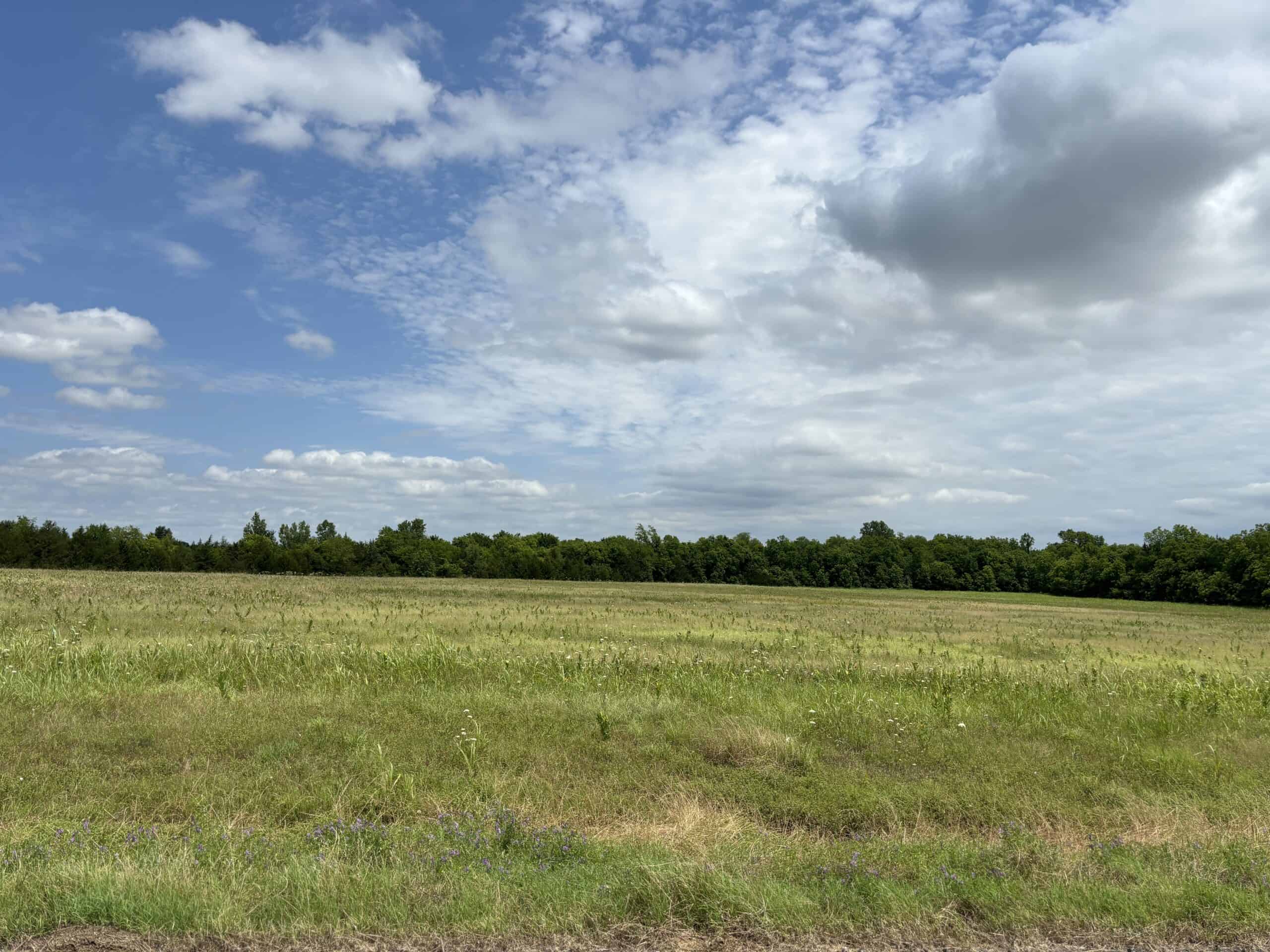 22-Acres of Scenic Land in NE Texas