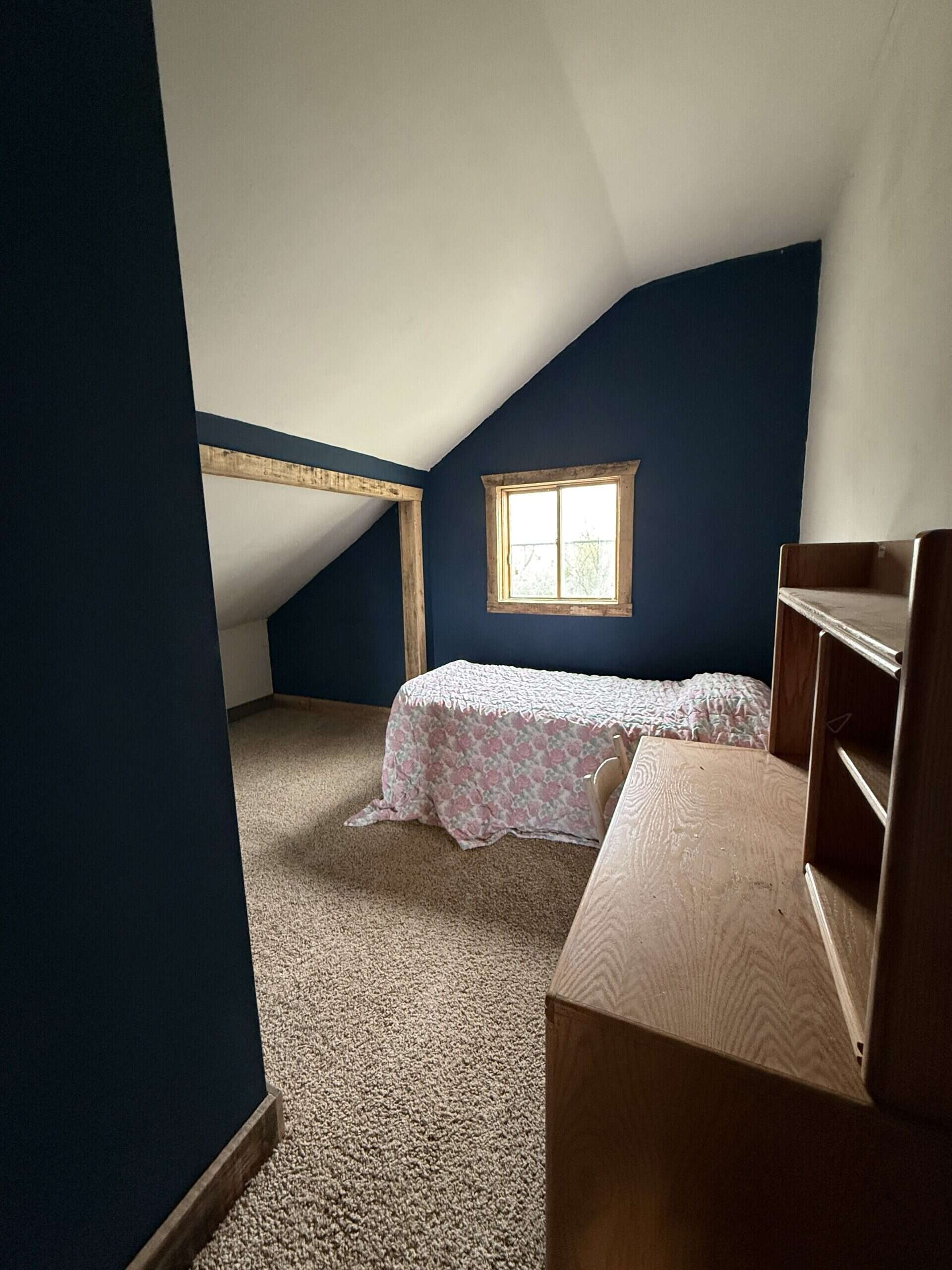 Charming 3-Bedroom Cabin on 10.75 Acres – Decatur City, IA