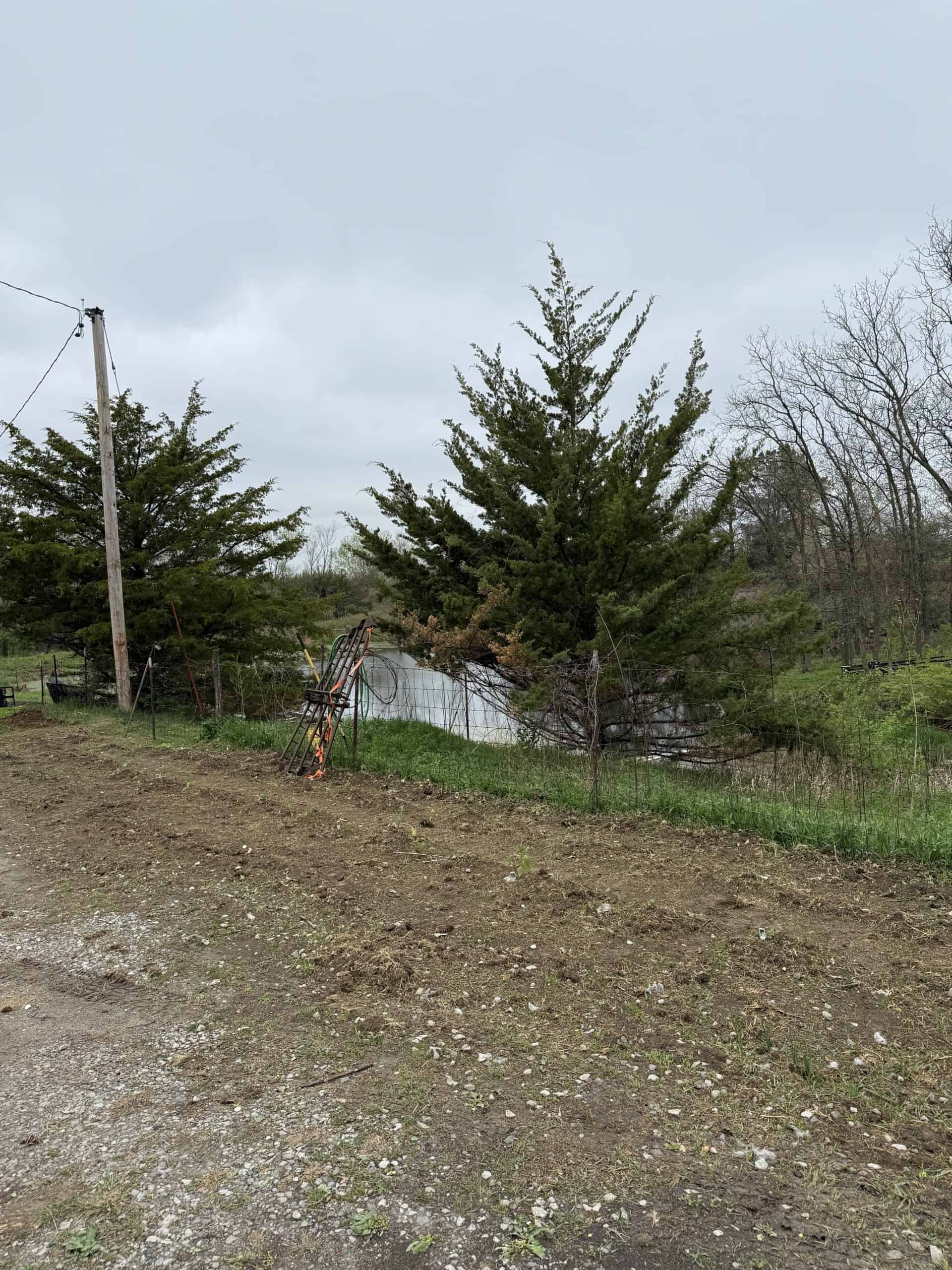 Charming 3-Bedroom Cabin on 10.75 Acres – Decatur City, IA