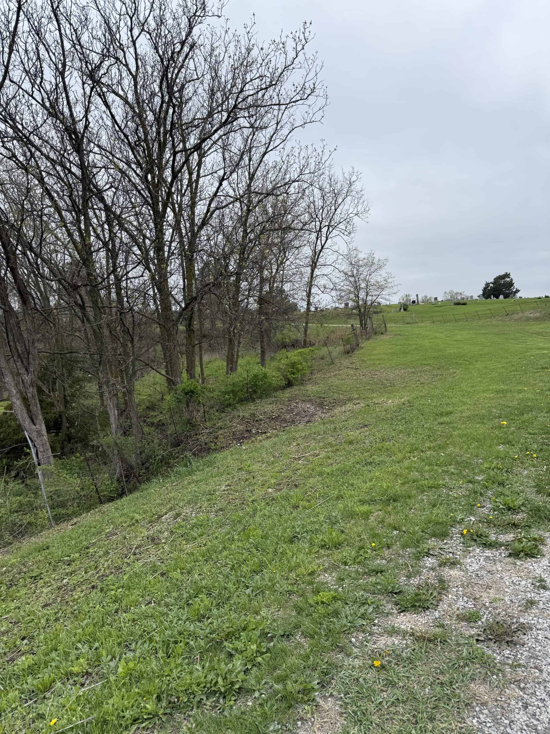 Charming 3-Bedroom Cabin on 10.75 Acres – Decatur City, IA