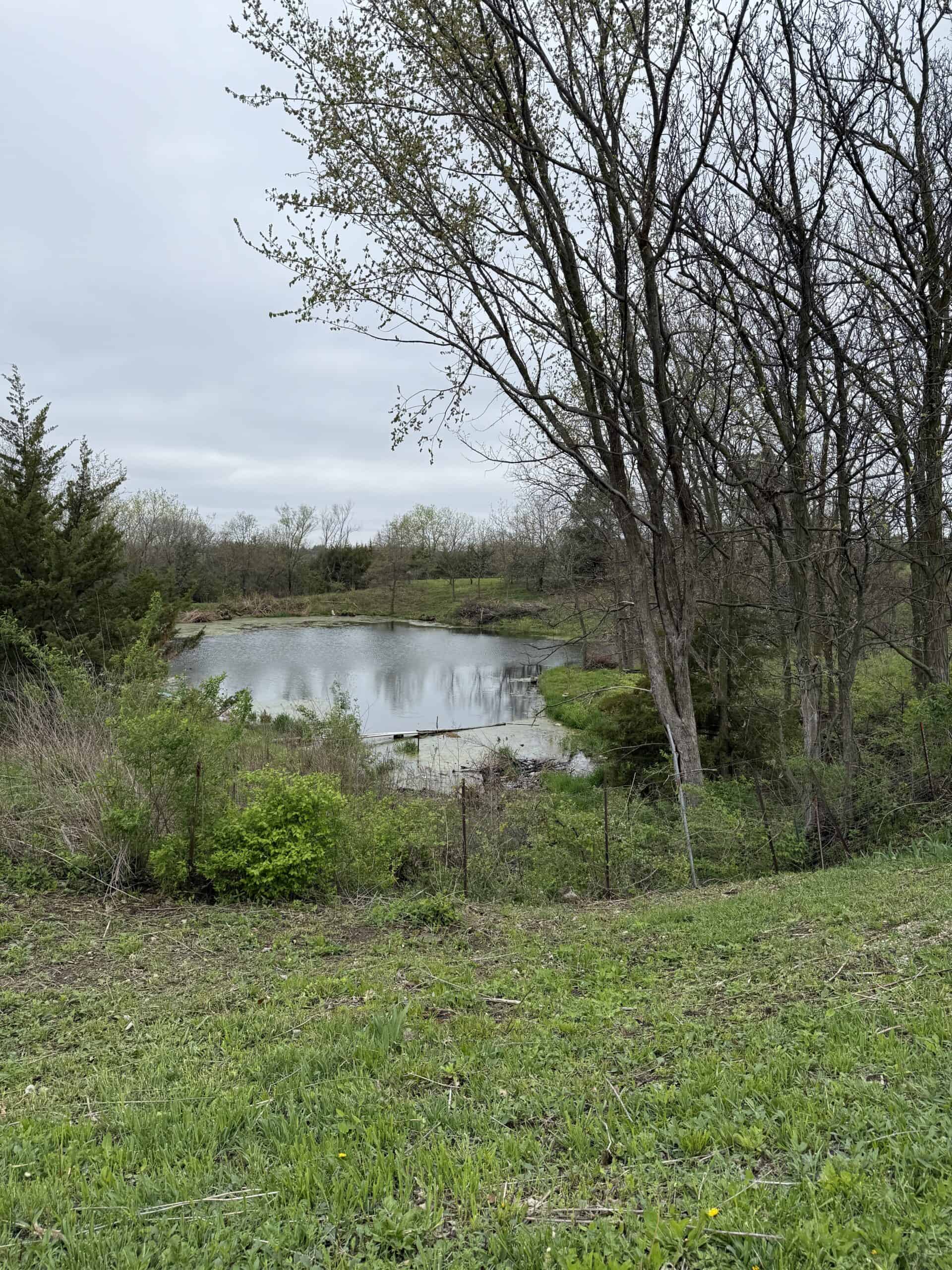Charming 3-Bedroom Cabin on 10.75 Acres – Decatur City, IA
