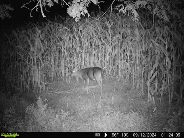 Rare Driftless Area Retreat: 28+/- Acres in Crawford County, WI