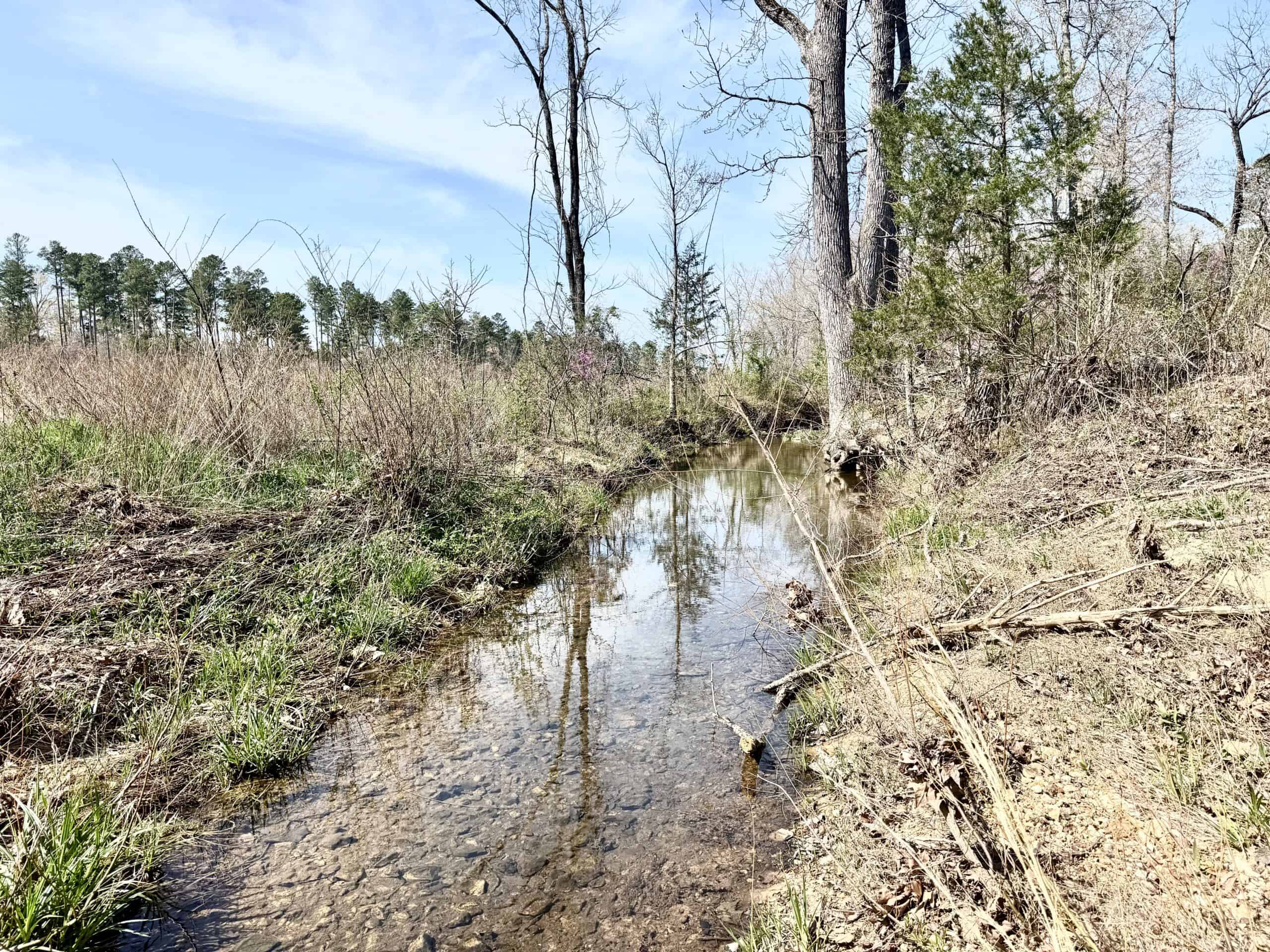 HUNTING AND RECREATIONAL LAND WITH CREEKSIDE CABIN