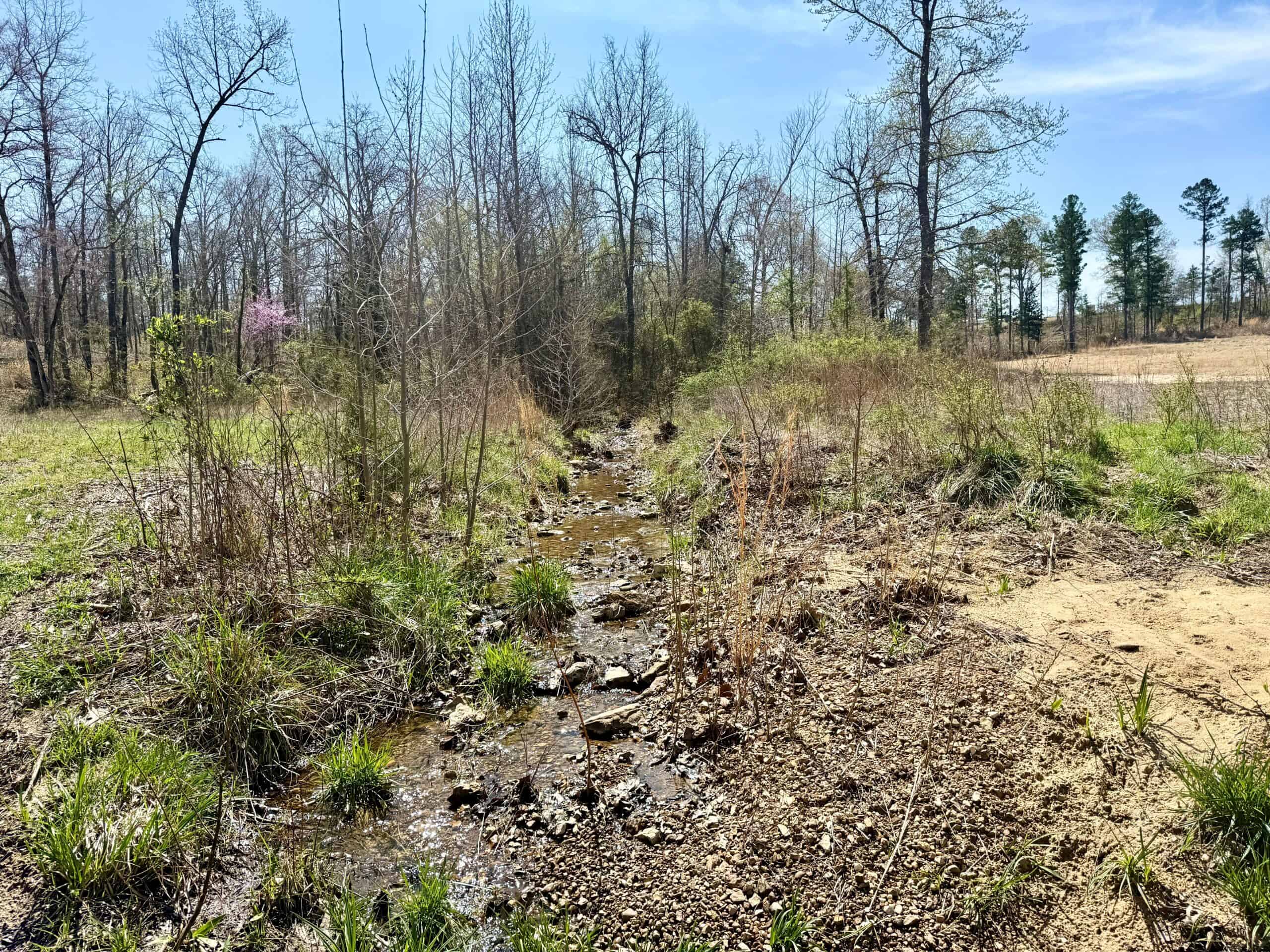 HUNTING AND RECREATIONAL LAND WITH CREEKSIDE CABIN