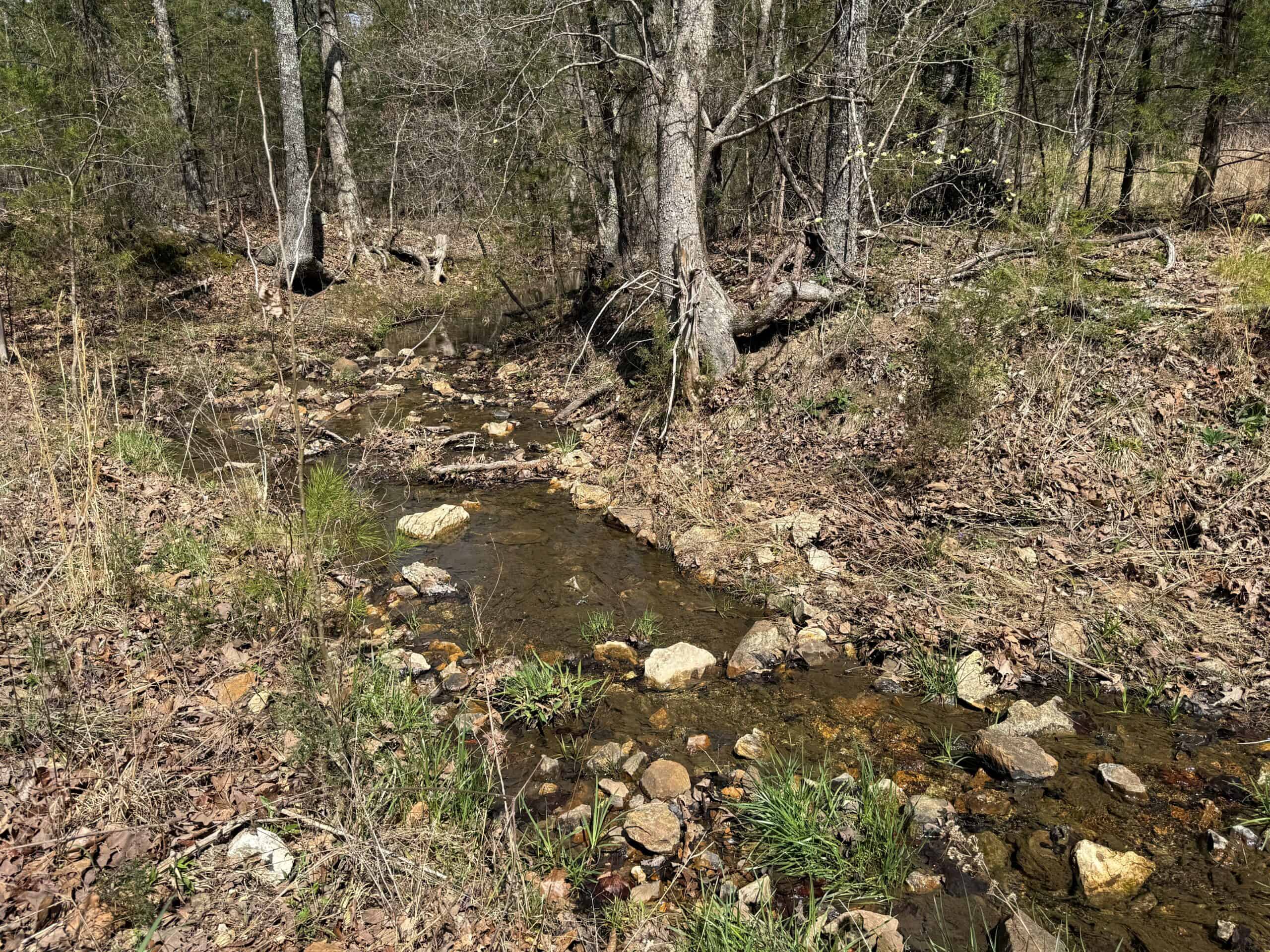 LAND WITH MULTIPLE HOMES FOR SALE IN ARKANSAS