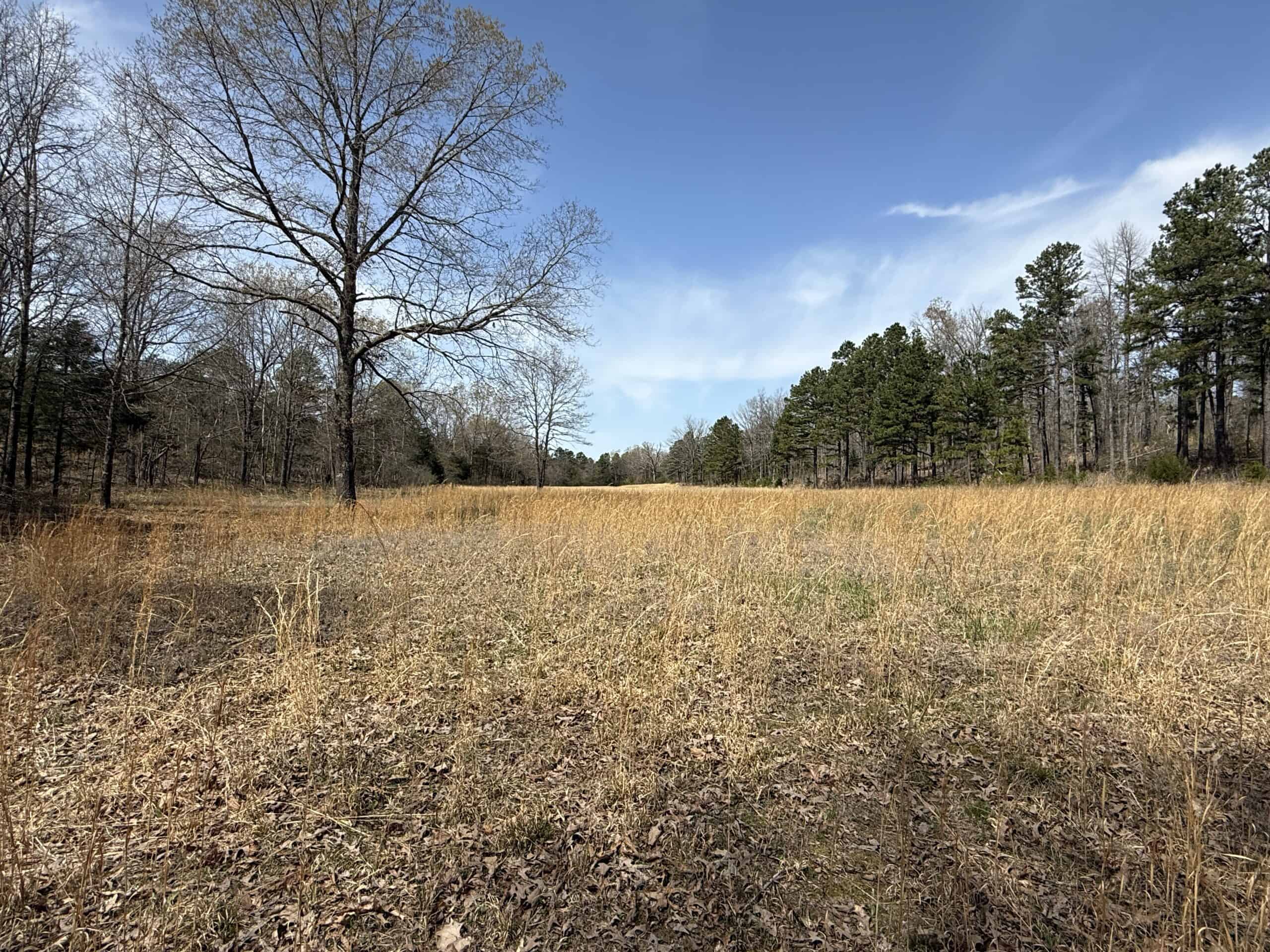 LAND WITH MULTIPLE HOMES FOR SALE IN ARKANSAS