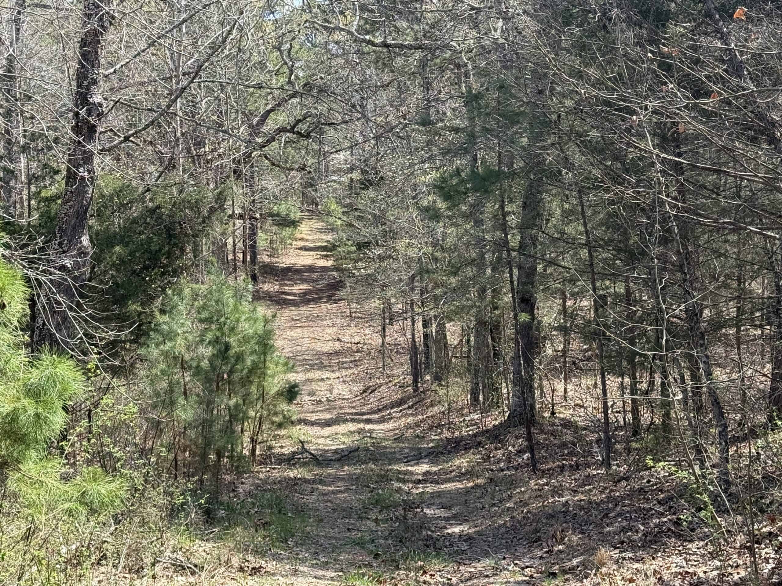 LAND WITH MULTIPLE HOMES FOR SALE IN ARKANSAS