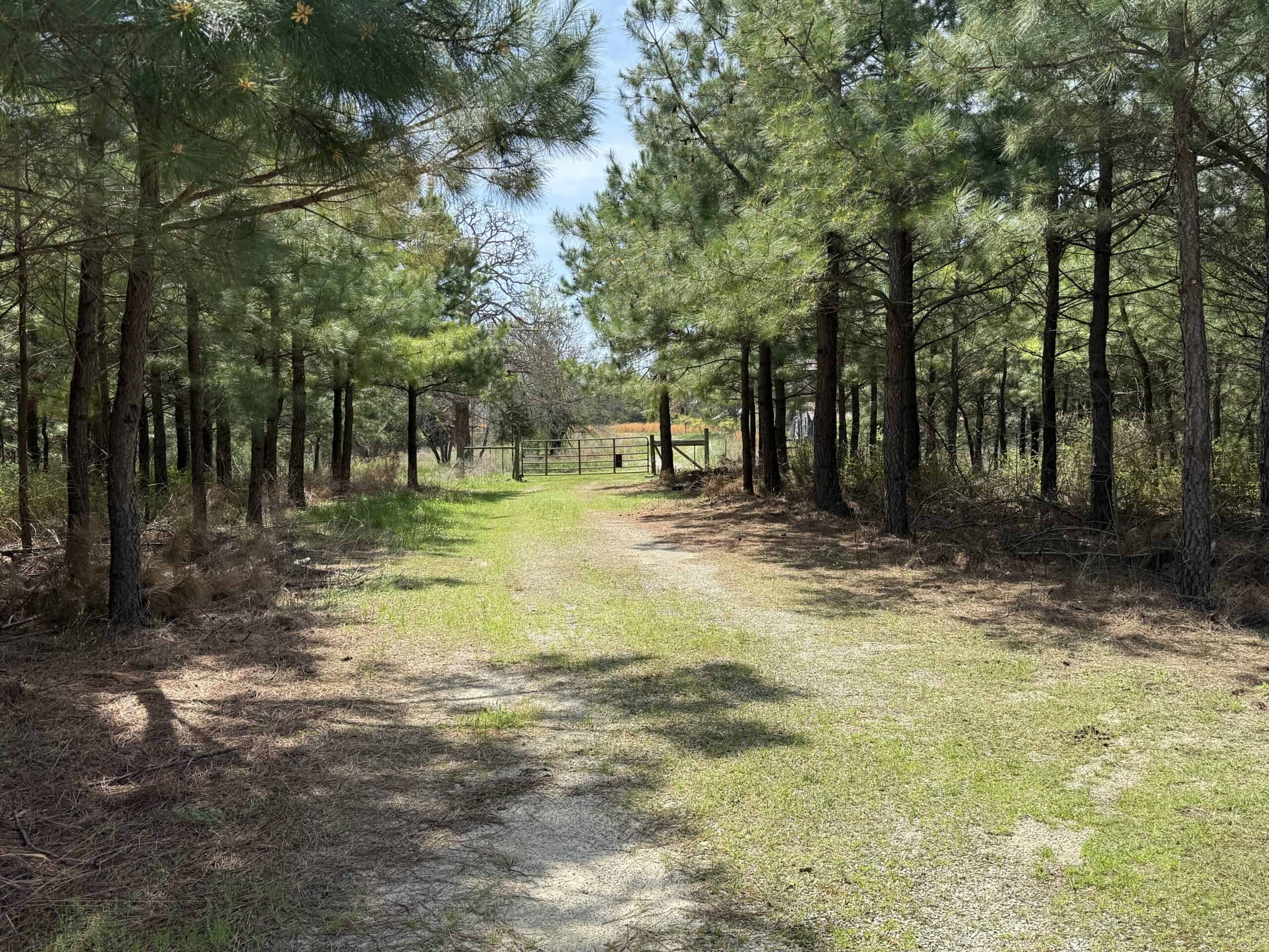 LAND WITH MULTIPLE HOMES FOR SALE IN ARKANSAS