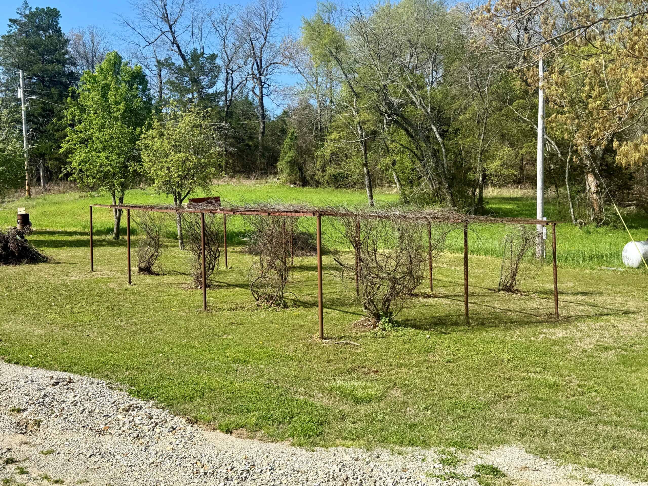 COUNTRY HOME AND LAND FOR SALE IN NORTH CENTRAL ARKANSAS