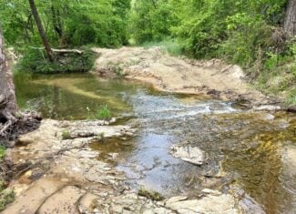 COUNTRY HOME AND LAND FOR SALE IN NORTH CENTRAL ARKANSAS