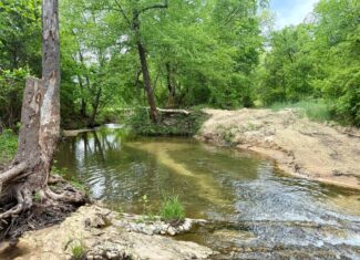 COUNTRY HOME AND LAND FOR SALE IN NORTH CENTRAL ARKANSAS