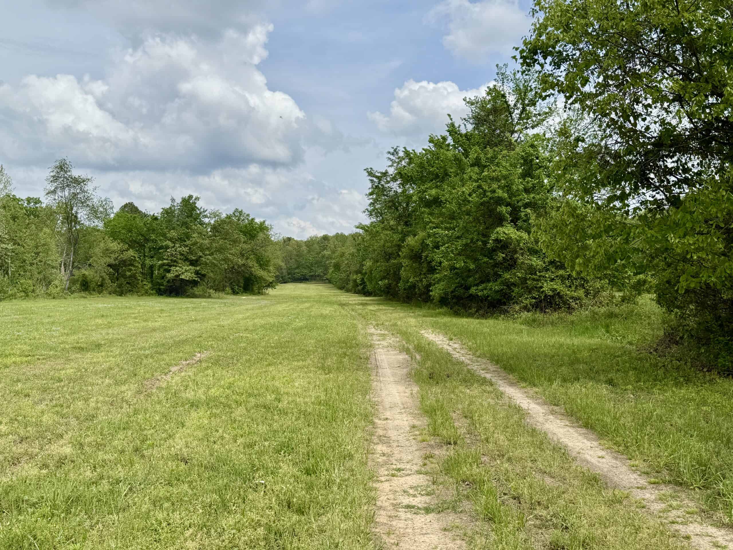 COUNTRY HOME AND LAND FOR SALE IN NORTH CENTRAL ARKANSAS