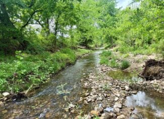 COUNTRY HOME AND LAND FOR SALE IN NORTH CENTRAL ARKANSAS