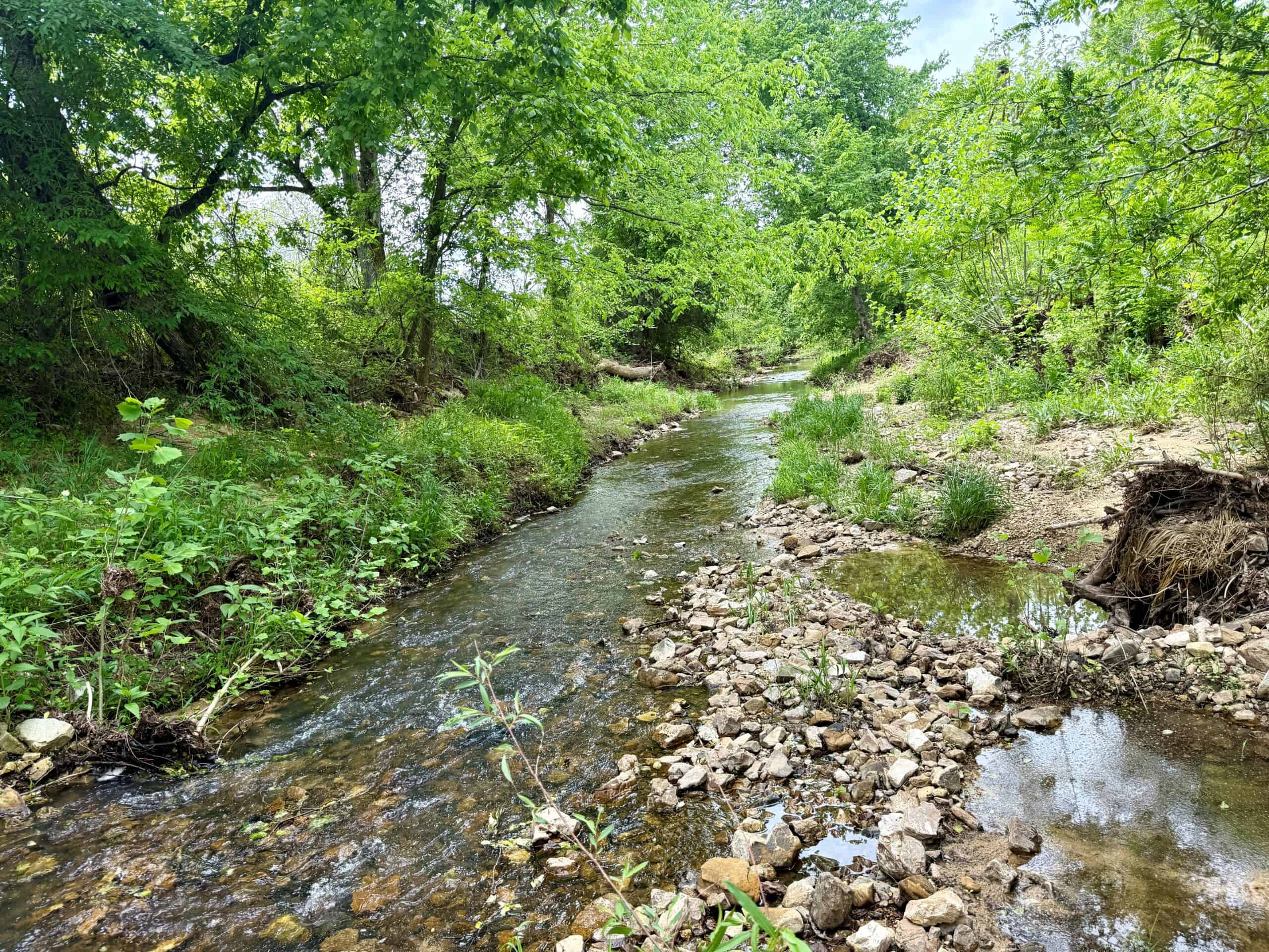 COUNTRY HOME AND LAND FOR SALE IN NORTH CENTRAL ARKANSAS