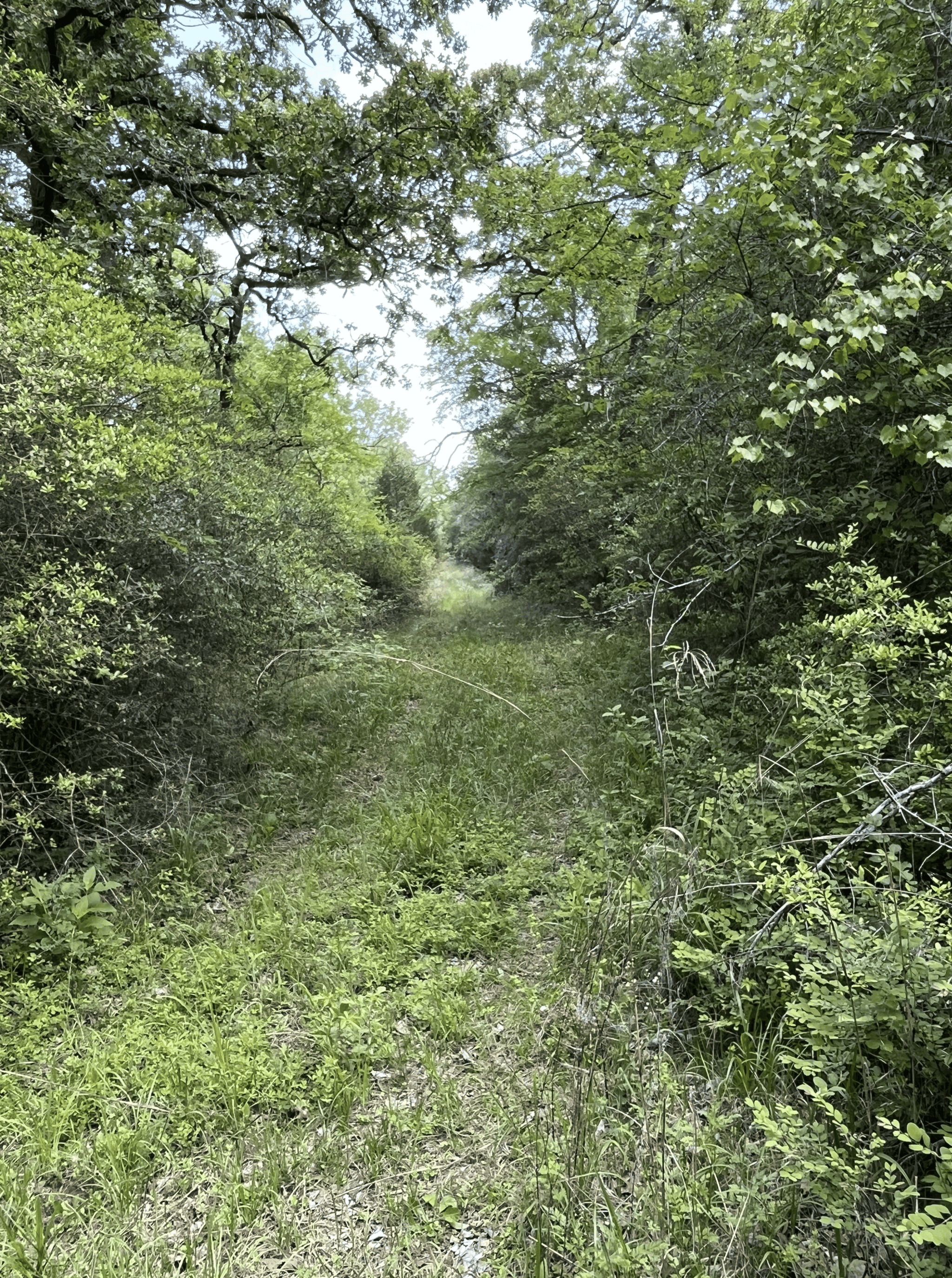 92+ Acre Hunting & Recreational Tract in Leon County, TX