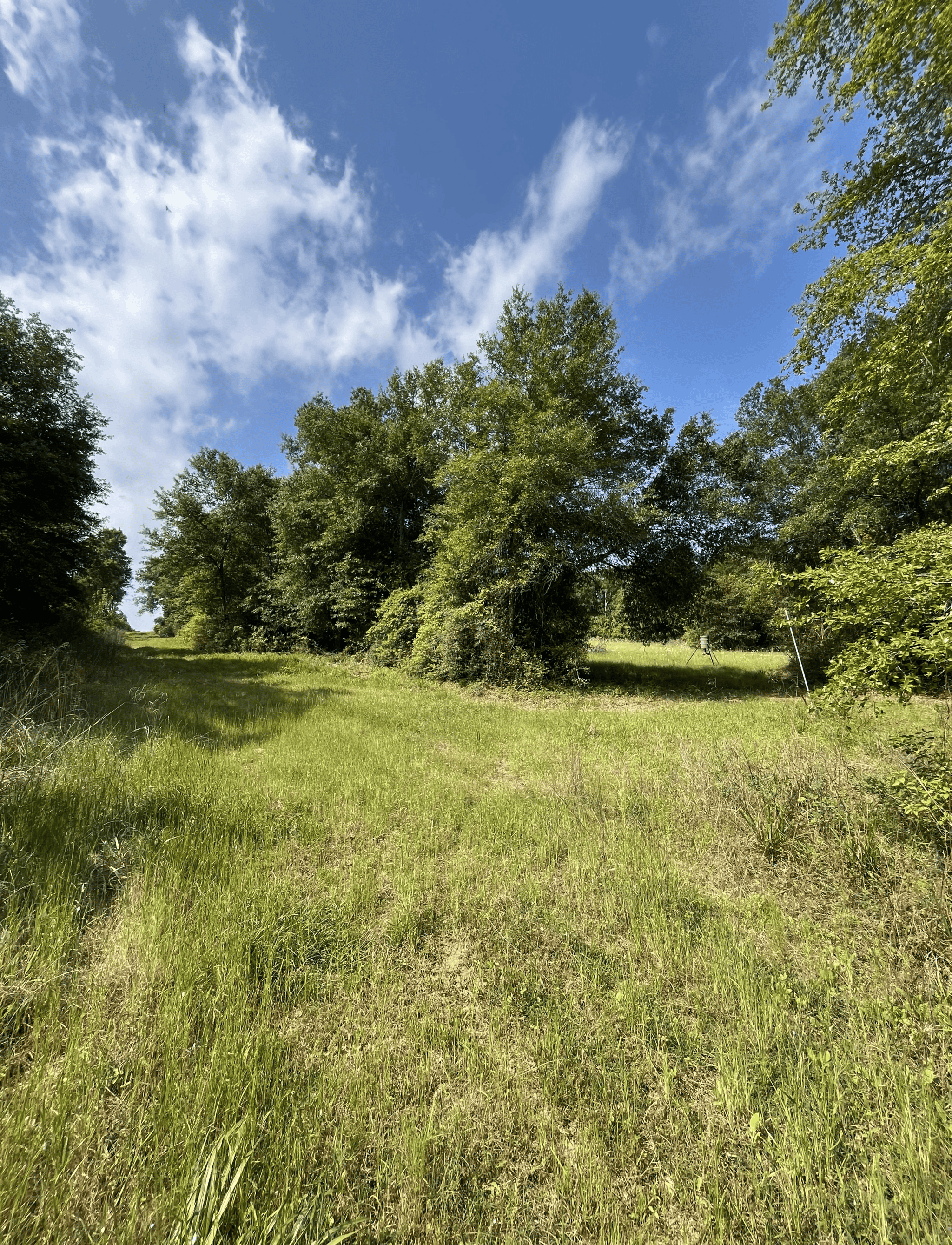 92+ Acre Hunting & Recreational Tract in Leon County, TX