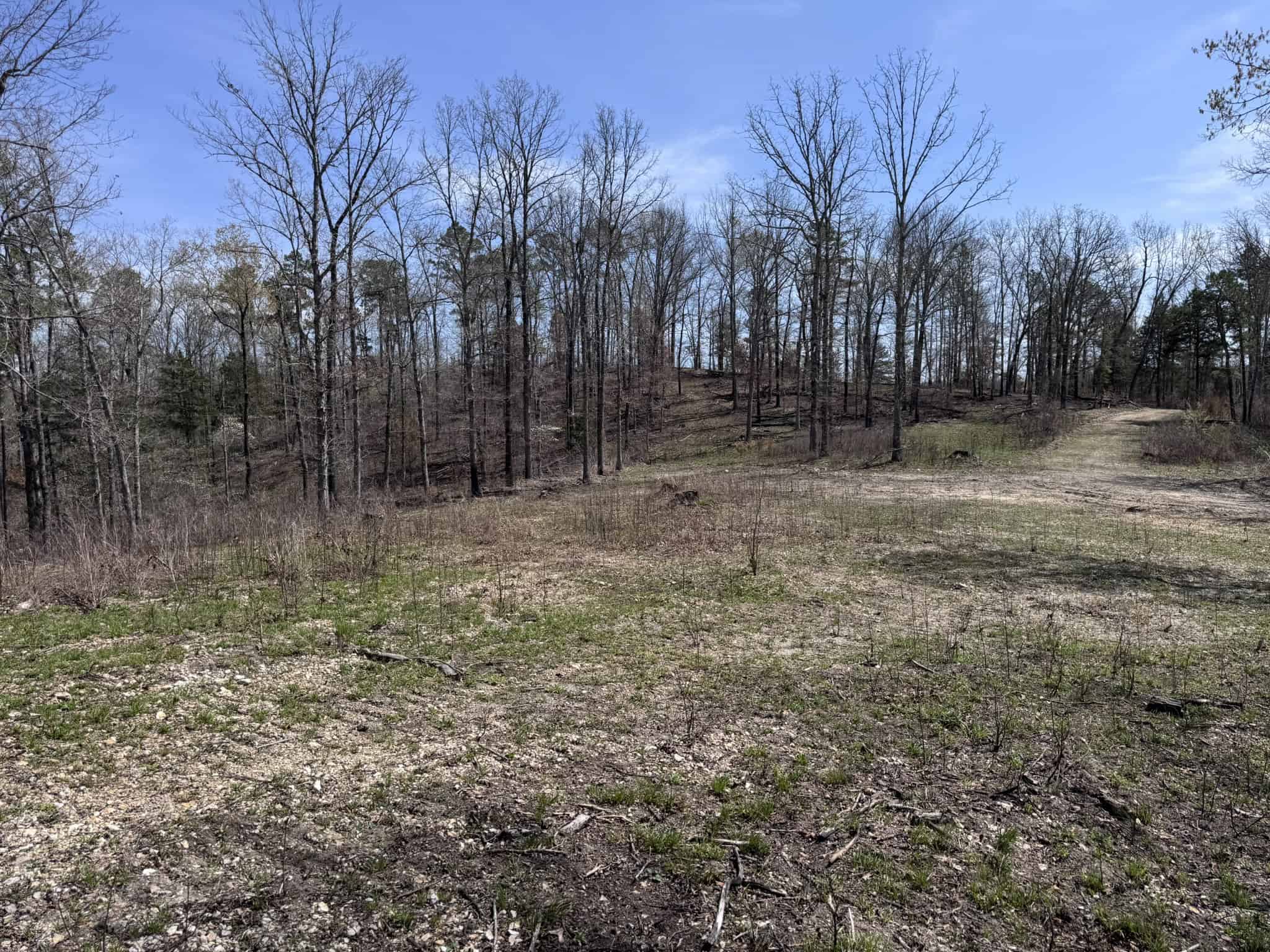 HUNTING AND RECREATIONAL LAND FOR SALE IN NORTH CENTRAL ARKANSAS