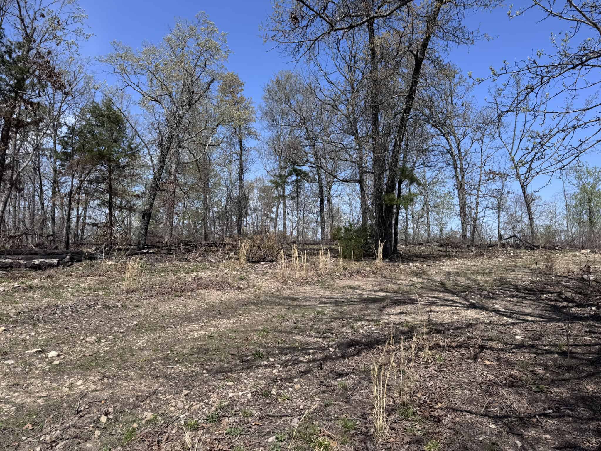 HUNTING AND RECREATIONAL LAND FOR SALE IN NORTH CENTRAL ARKANSAS
