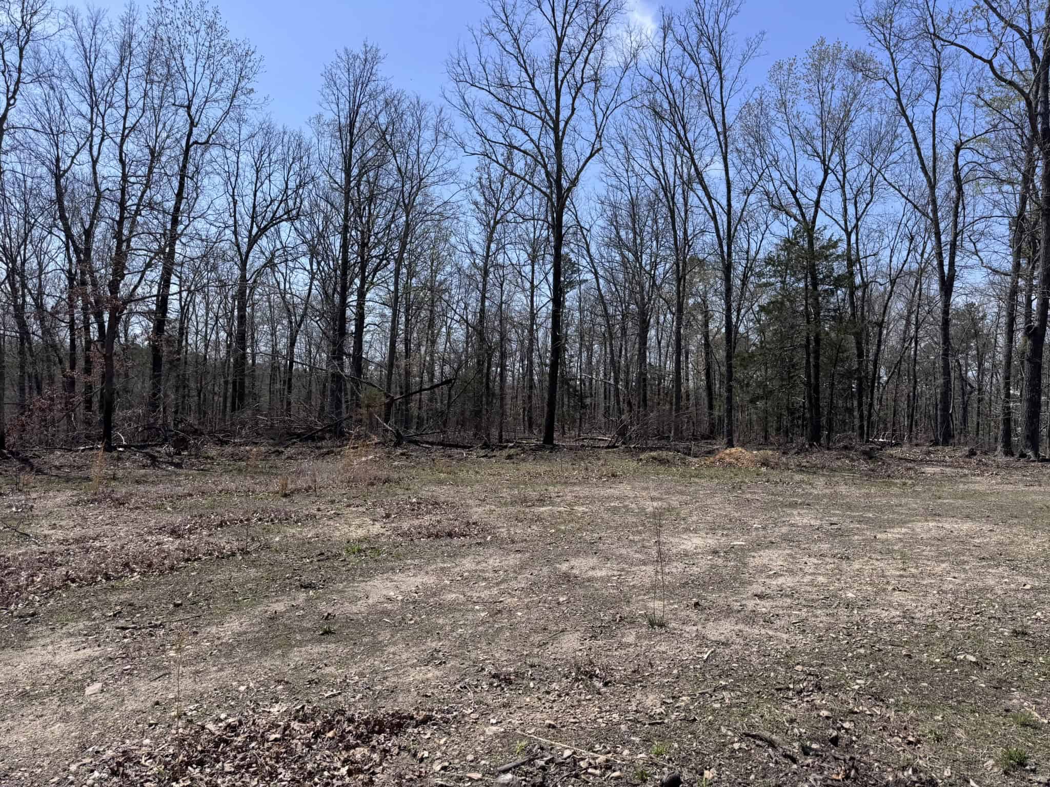 HUNTING AND RECREATIONAL LAND FOR SALE IN NORTH CENTRAL ARKANSAS