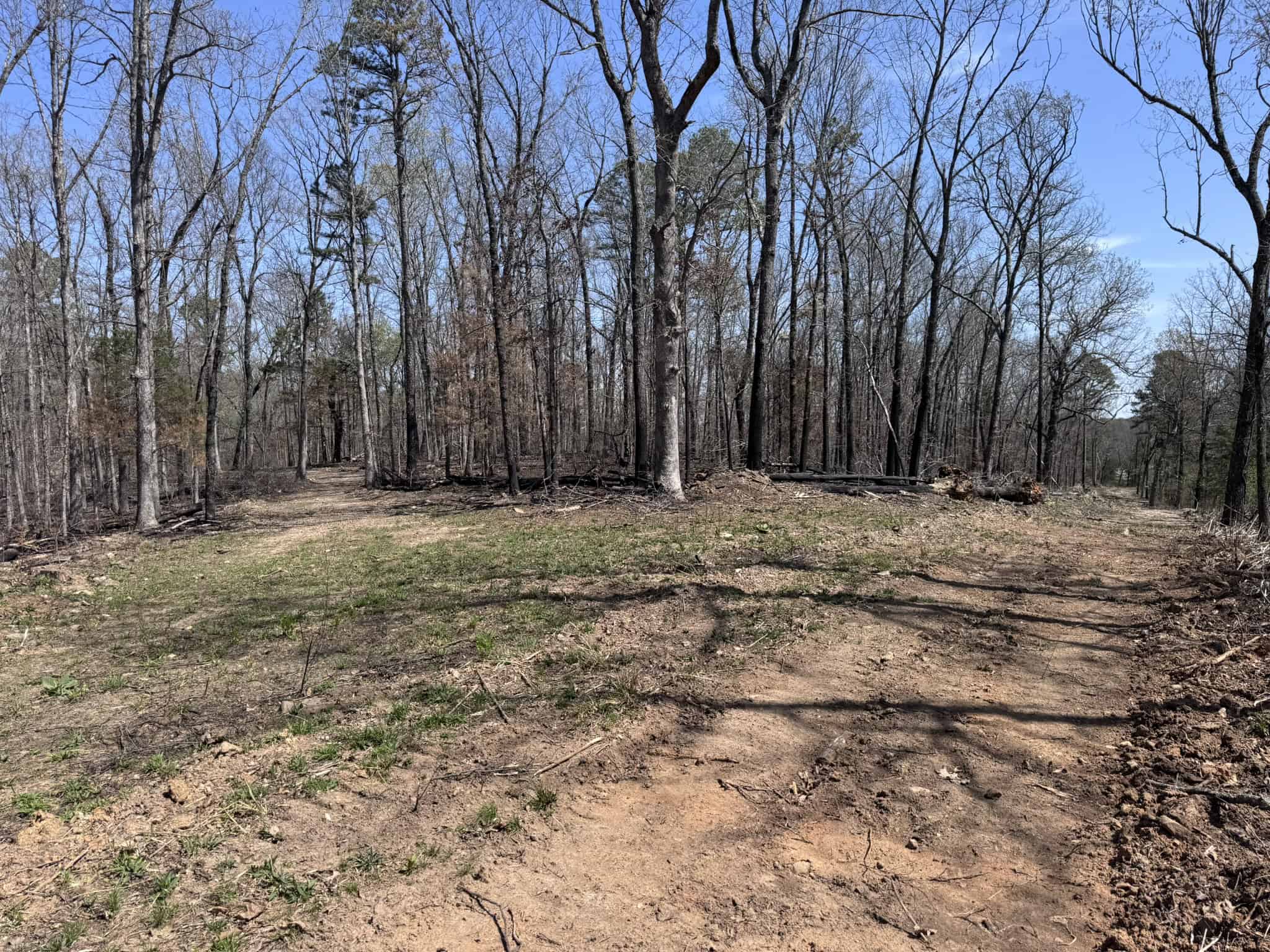 HUNTING AND RECREATIONAL LAND FOR SALE IN NORTH CENTRAL ARKANSAS