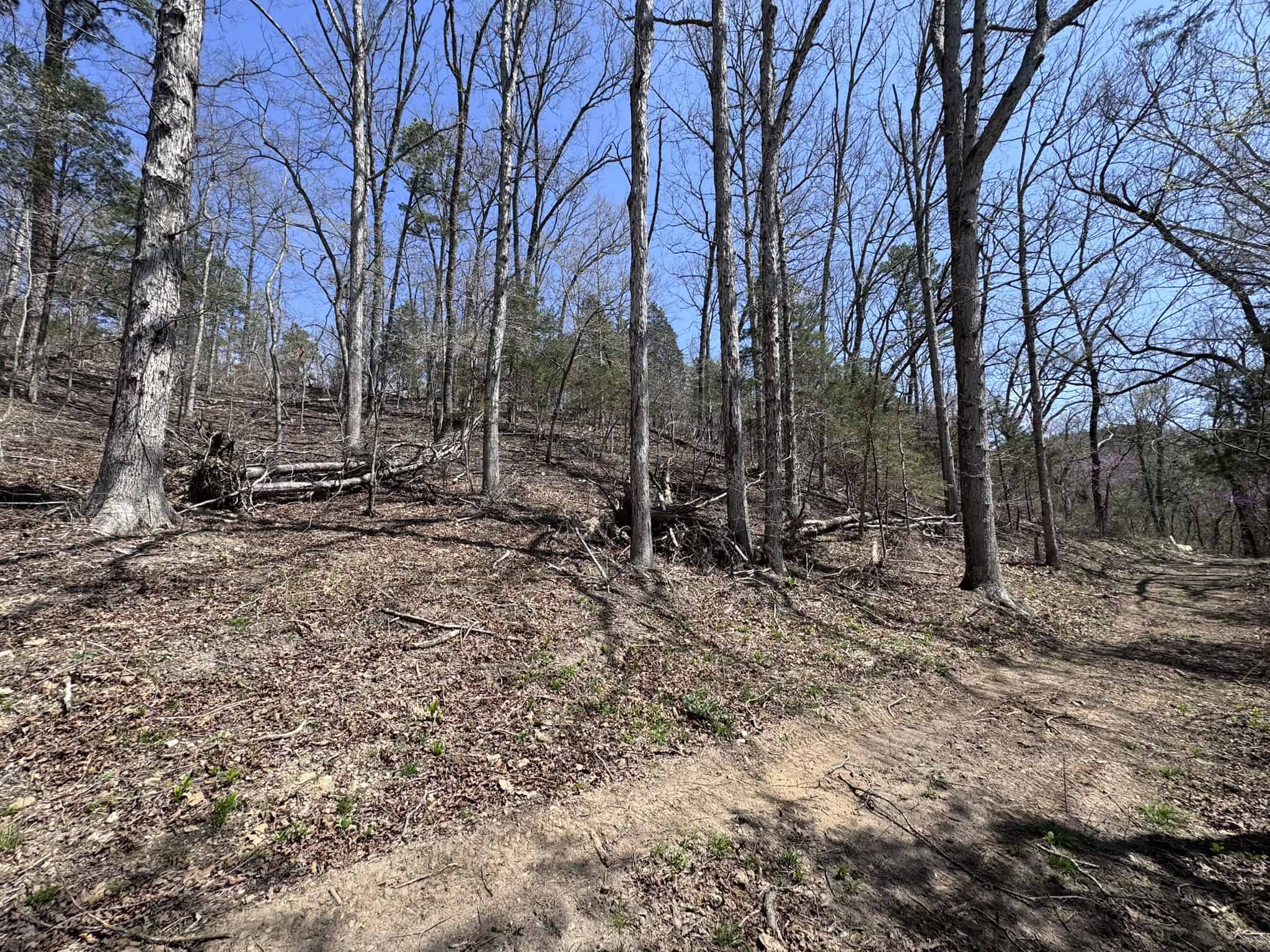 HUNTING AND RECREATIONAL LAND FOR SALE IN NORTH CENTRAL ARKANSAS