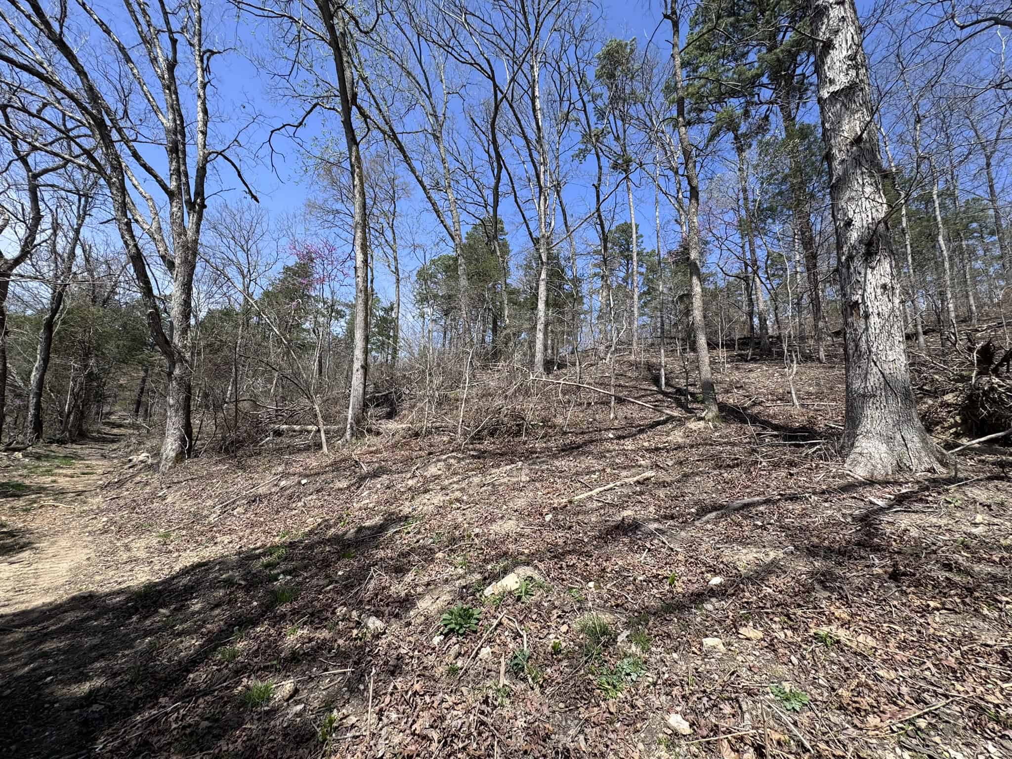 HUNTING AND RECREATIONAL LAND FOR SALE IN NORTH CENTRAL ARKANSAS