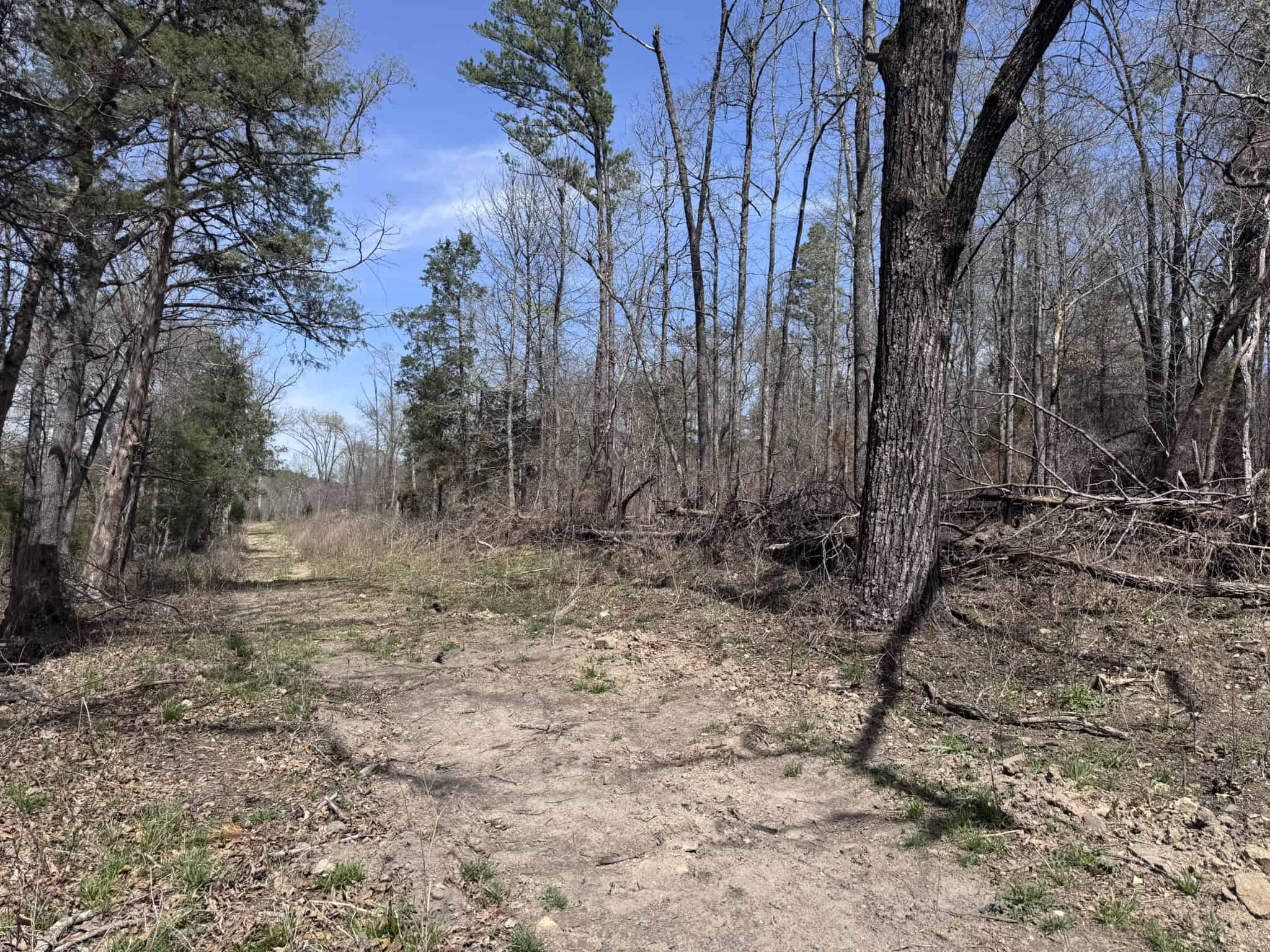 HUNTING AND RECREATIONAL LAND FOR SALE IN NORTH CENTRAL ARKANSAS