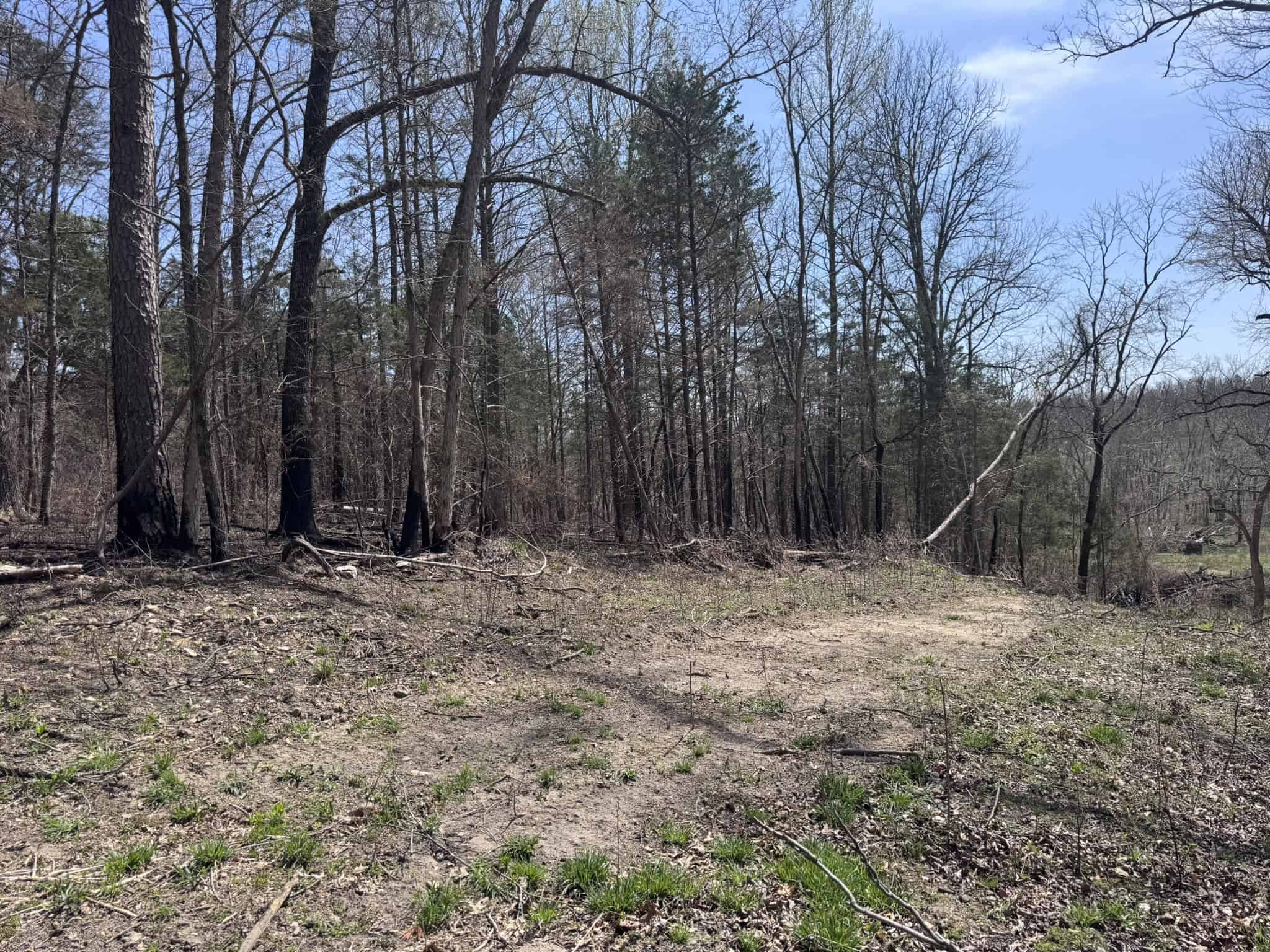 HUNTING AND RECREATIONAL LAND FOR SALE IN NORTH CENTRAL ARKANSAS