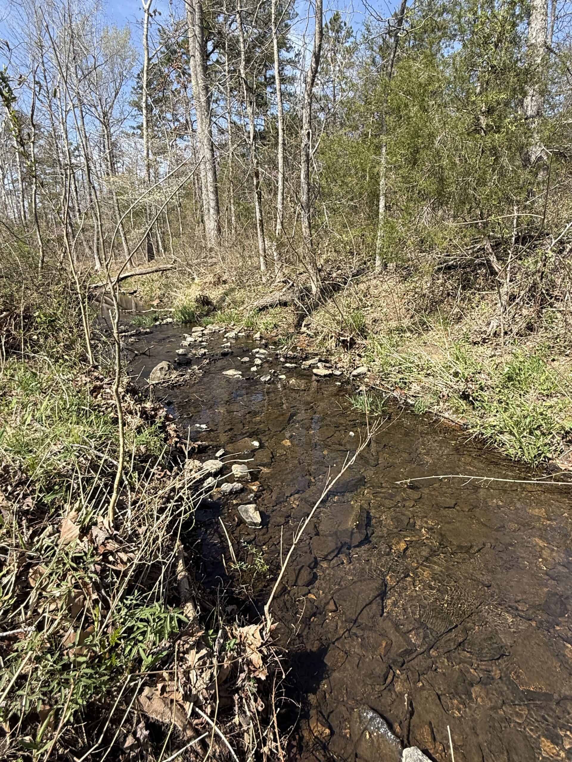 LAND WITH MULTIPLE HOMES FOR SALE IN ARKANSAS