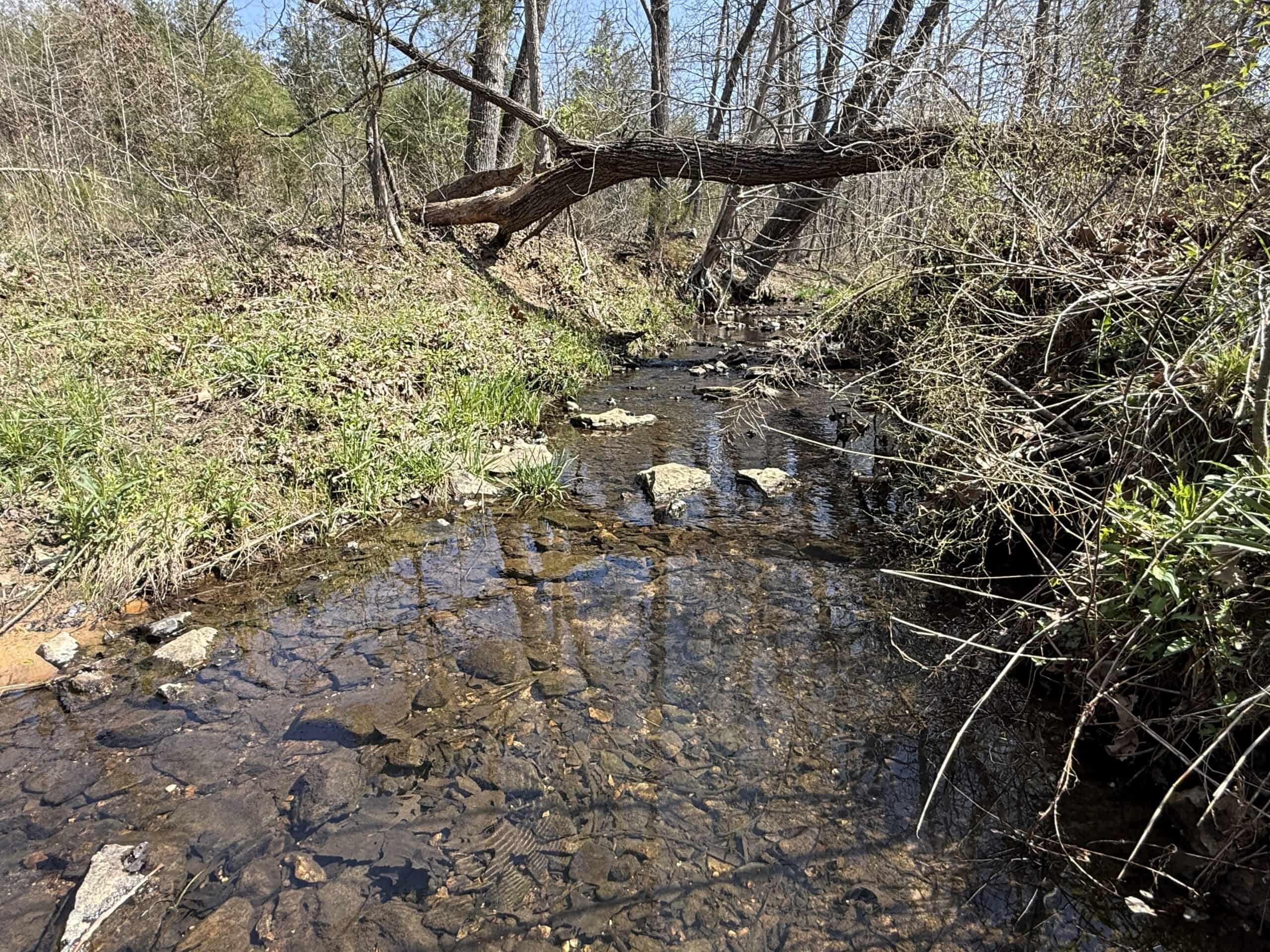 HUNTING AND RECREATIONAL LAND WITH CREEKSIDE CABIN