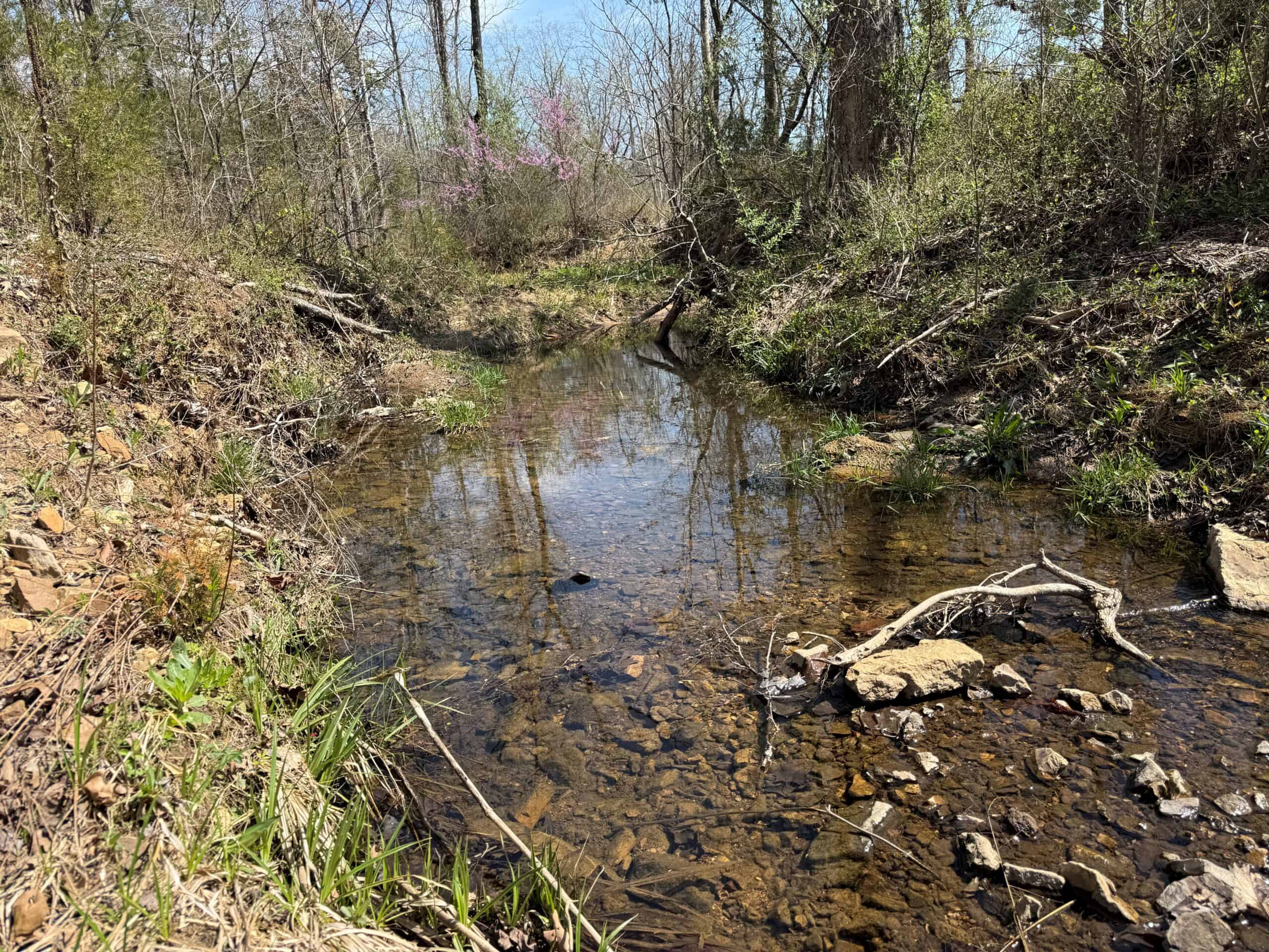 HUNTING AND RECREATIONAL LAND WITH CREEKSIDE CABIN