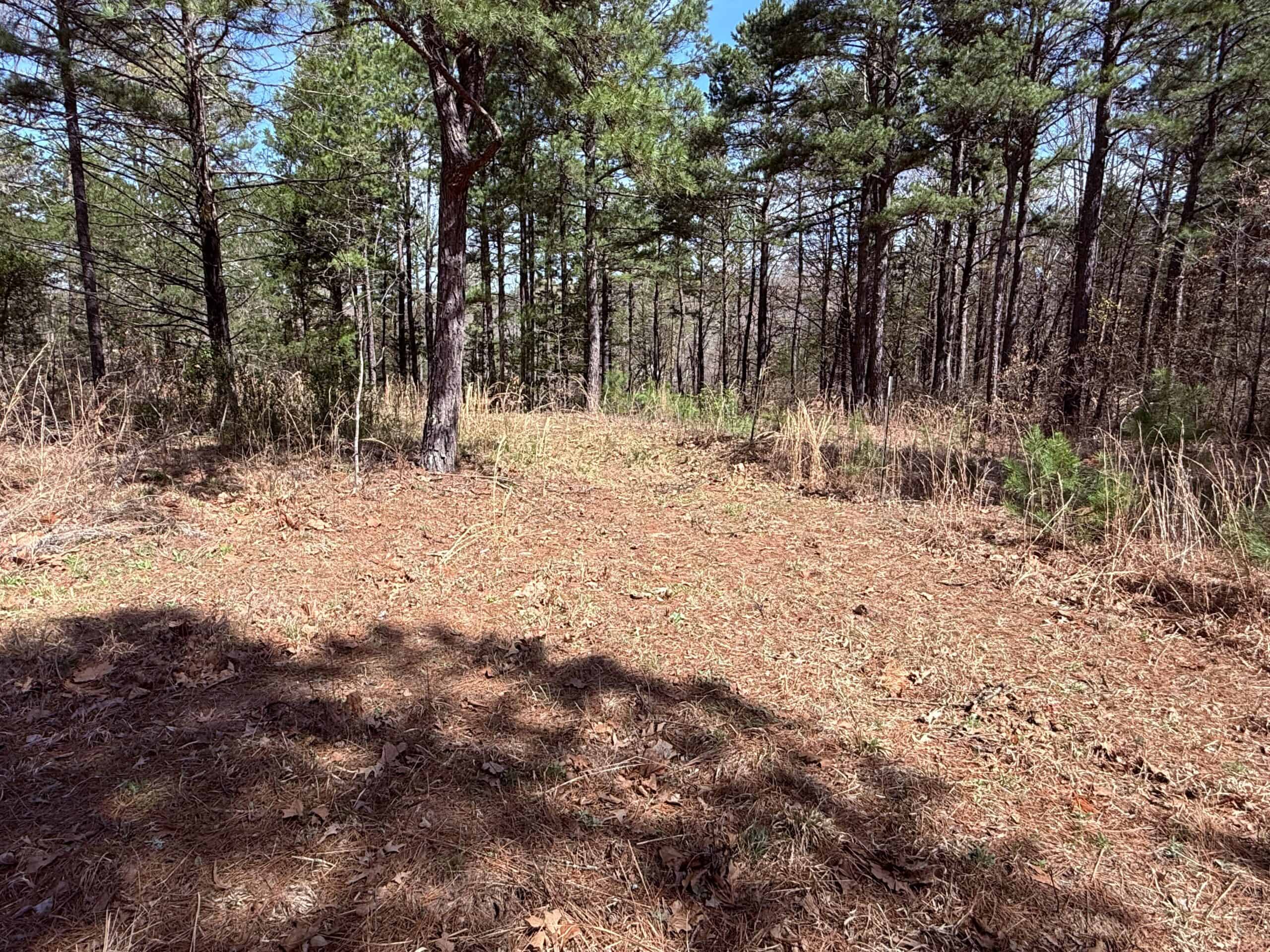 HUNTING AND RECREATIONAL LAND WITH CREEKSIDE CABIN