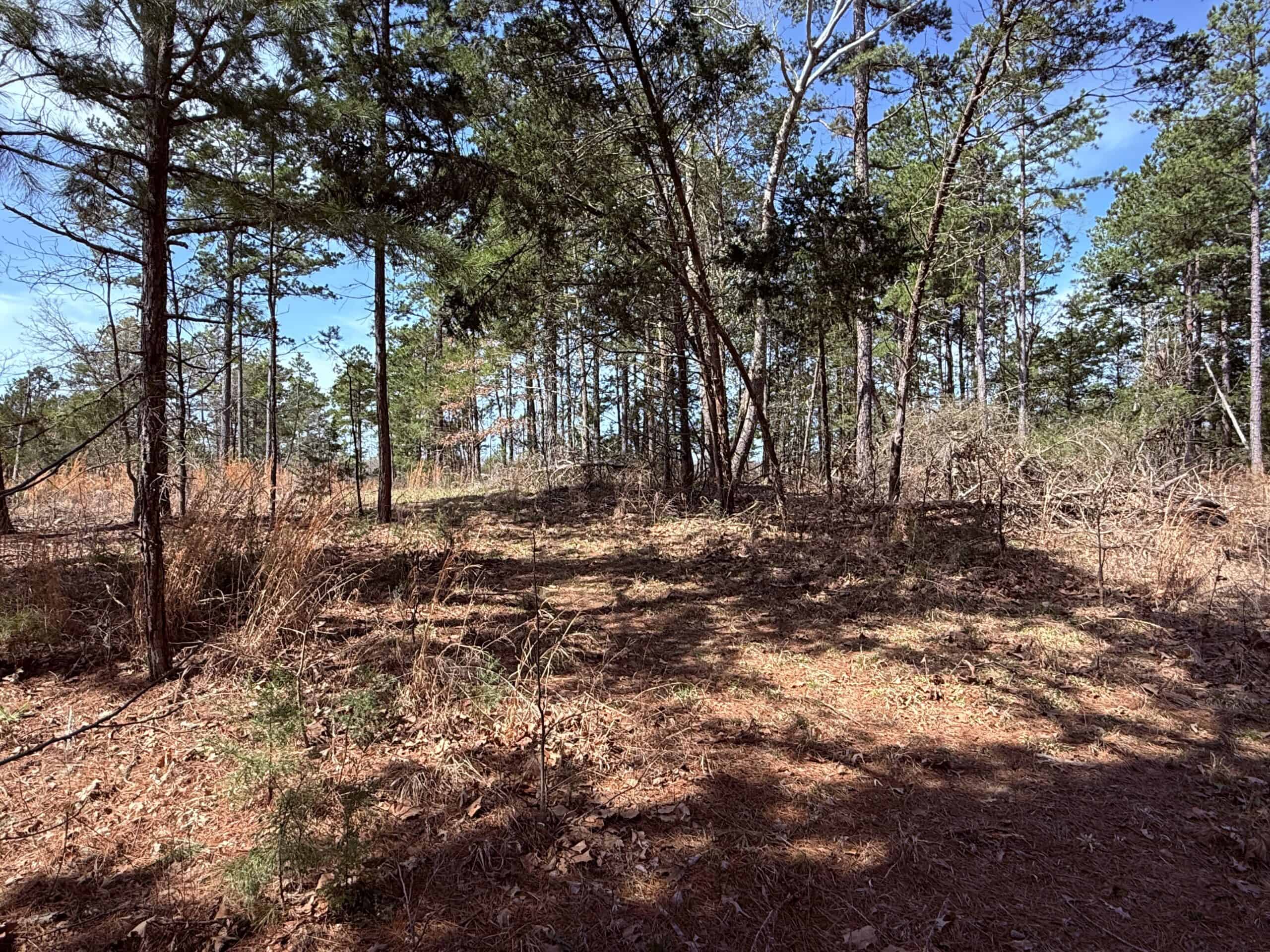 HUNTING AND RECREATIONAL LAND WITH CREEKSIDE CABIN