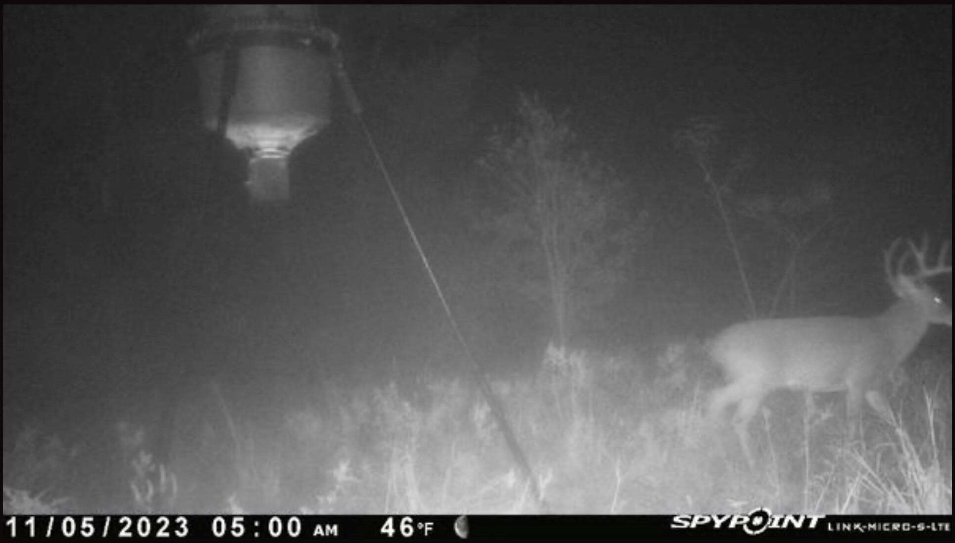 118 acre Delta County Hunting Retreat