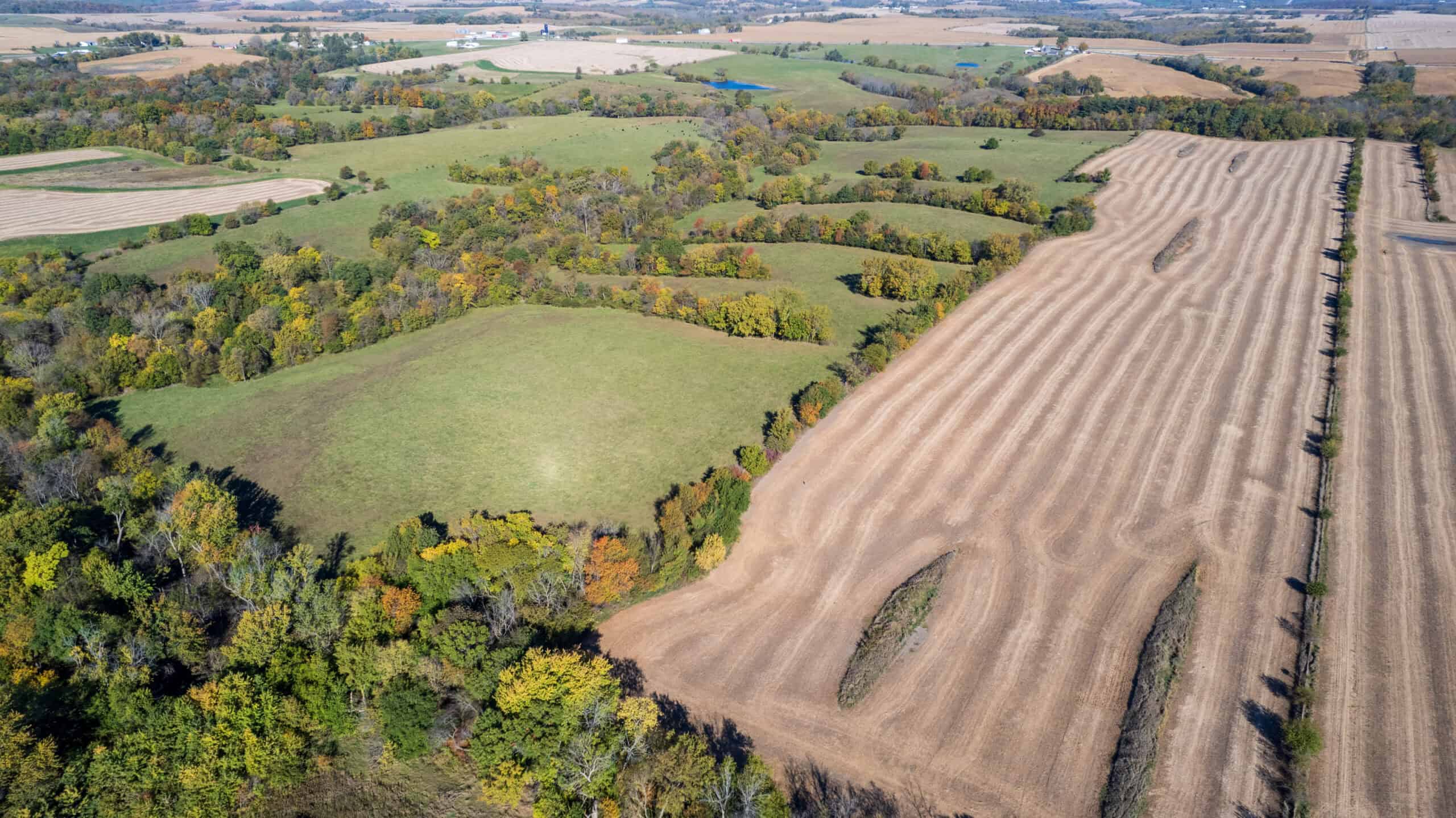 Marion County, Iowa – 143+/- Acre Combination Farm with Recreational and Hunting Potential