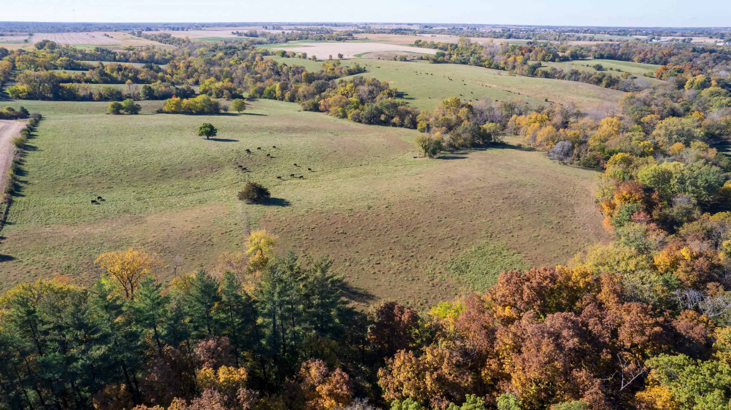 Marion County, Iowa – 143+/- Acre Combination Farm with Recreational and Hunting Potential