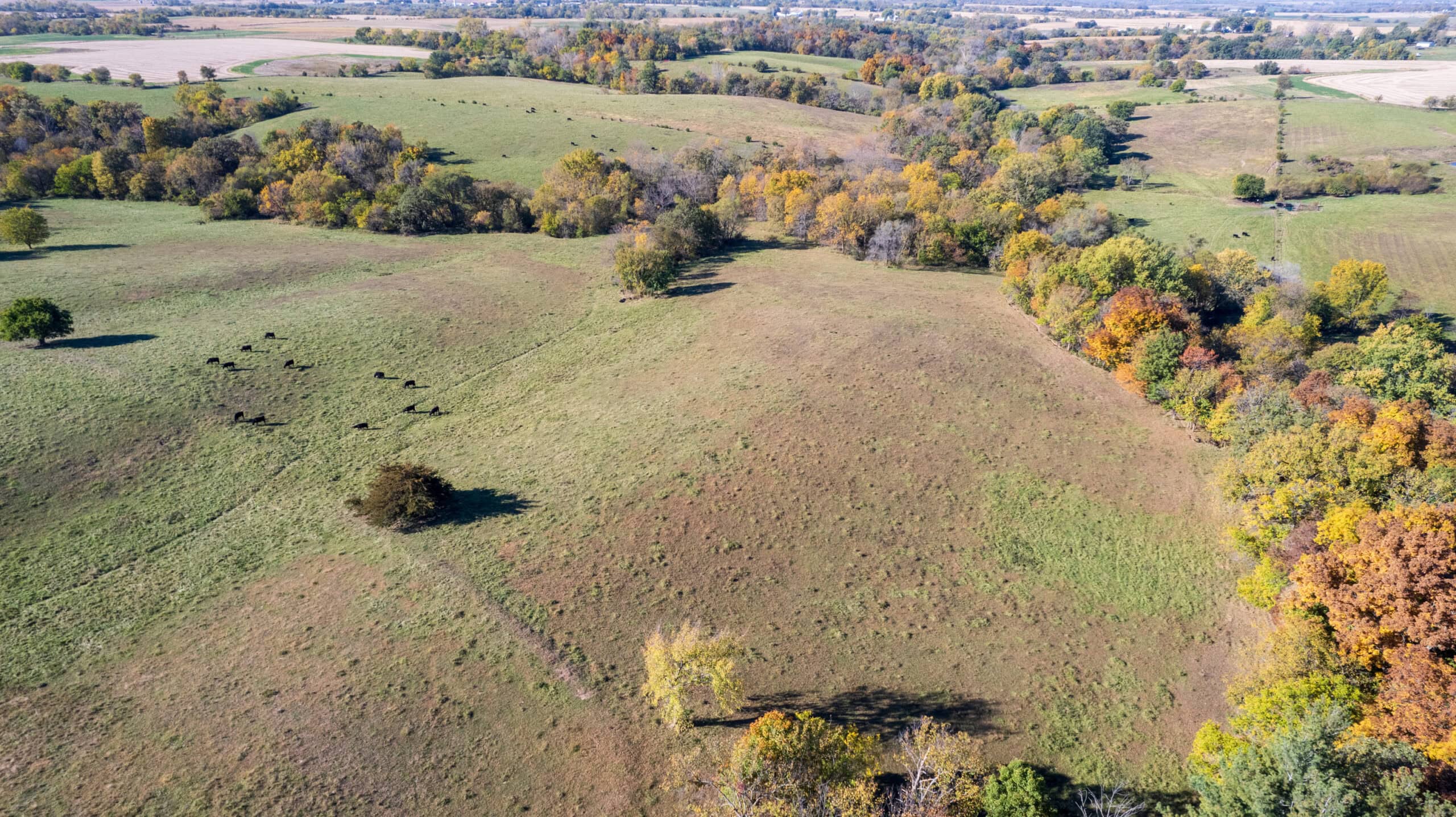 Marion County, Iowa – 143+/- Acre Combination Farm with Recreational and Hunting Potential