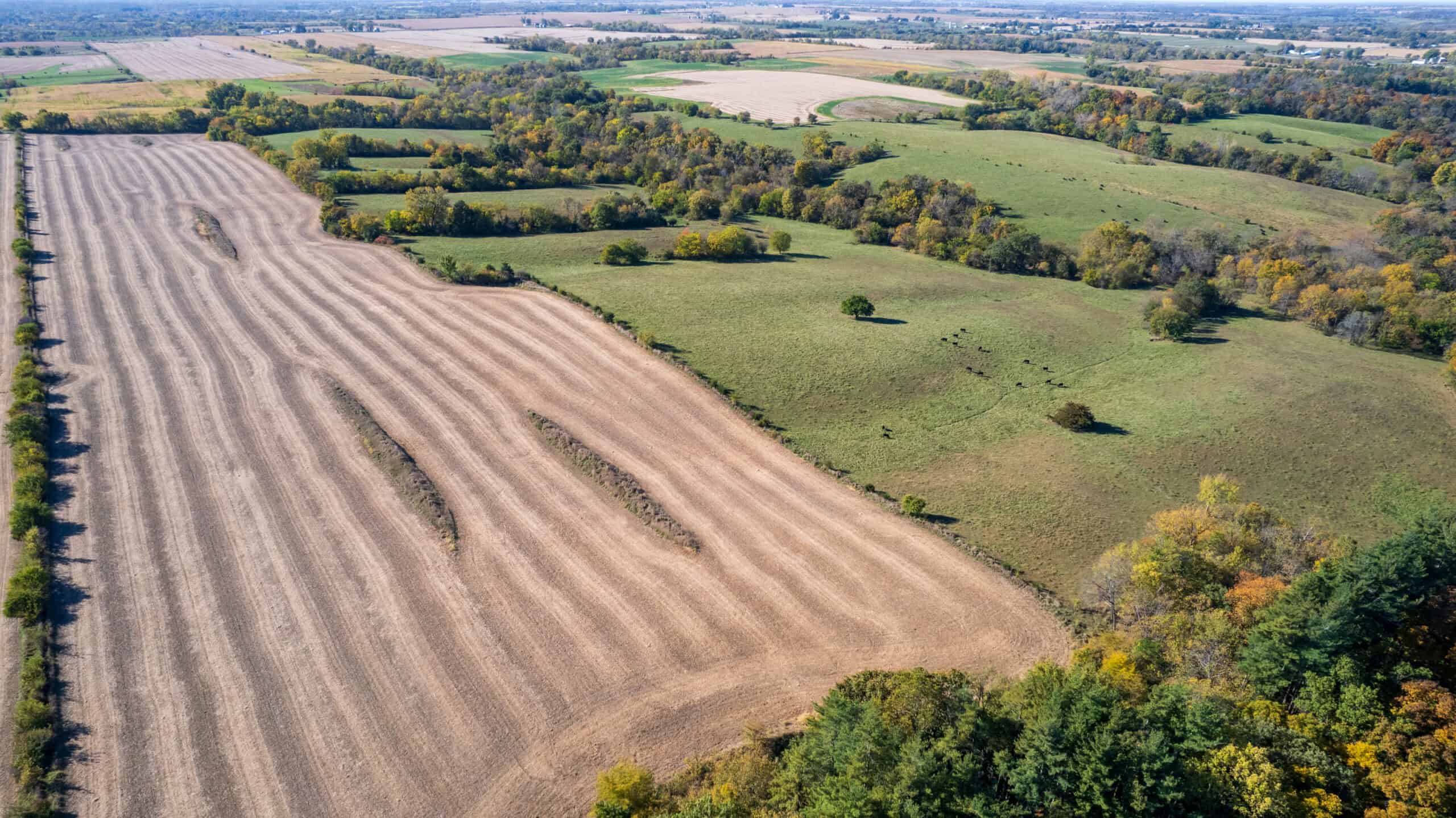 Marion County, Iowa – 143+/- Acre Combination Farm with Recreational and Hunting Potential