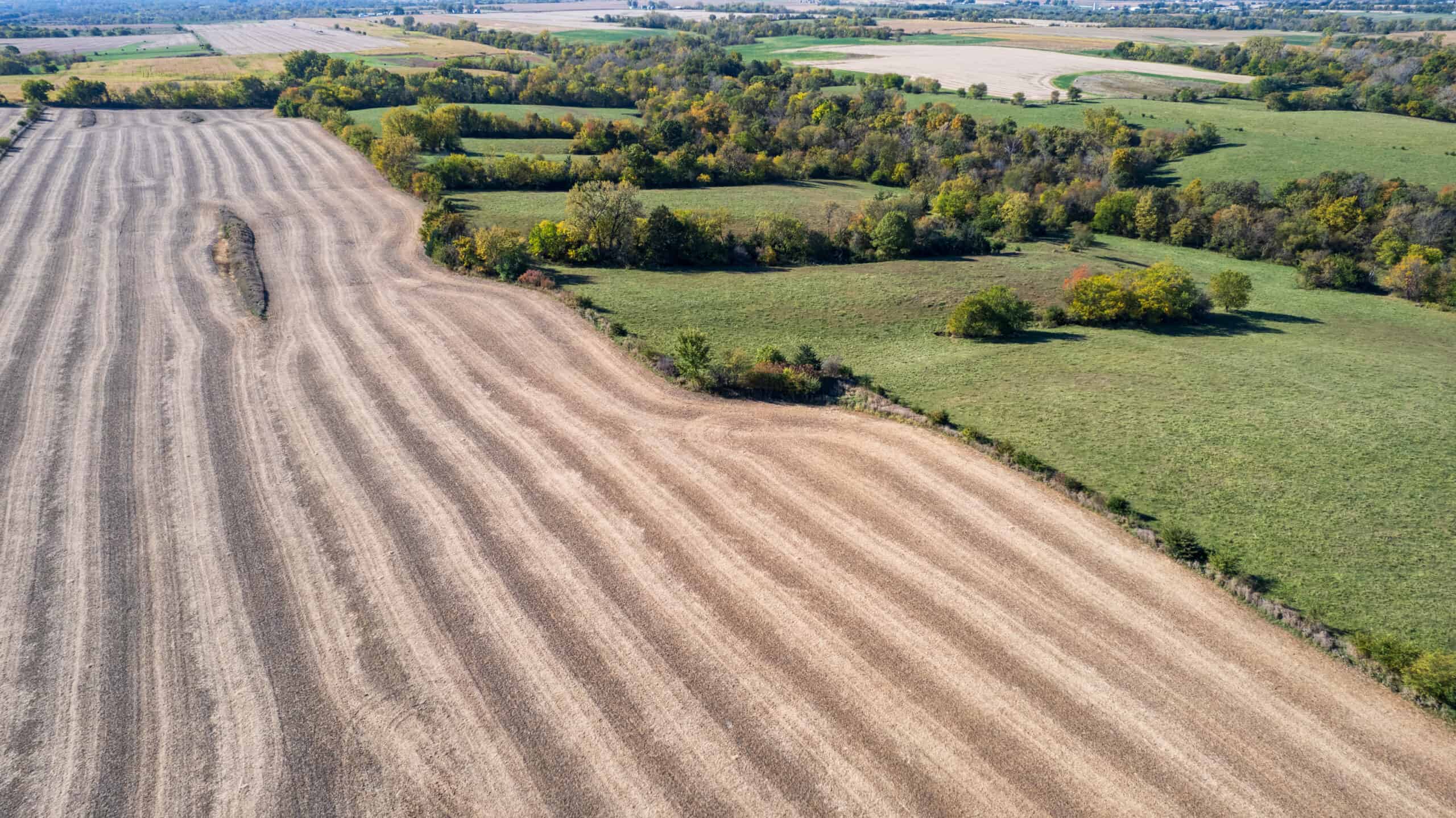 Marion County, Iowa – 143+/- Acre Combination Farm with Recreational and Hunting Potential