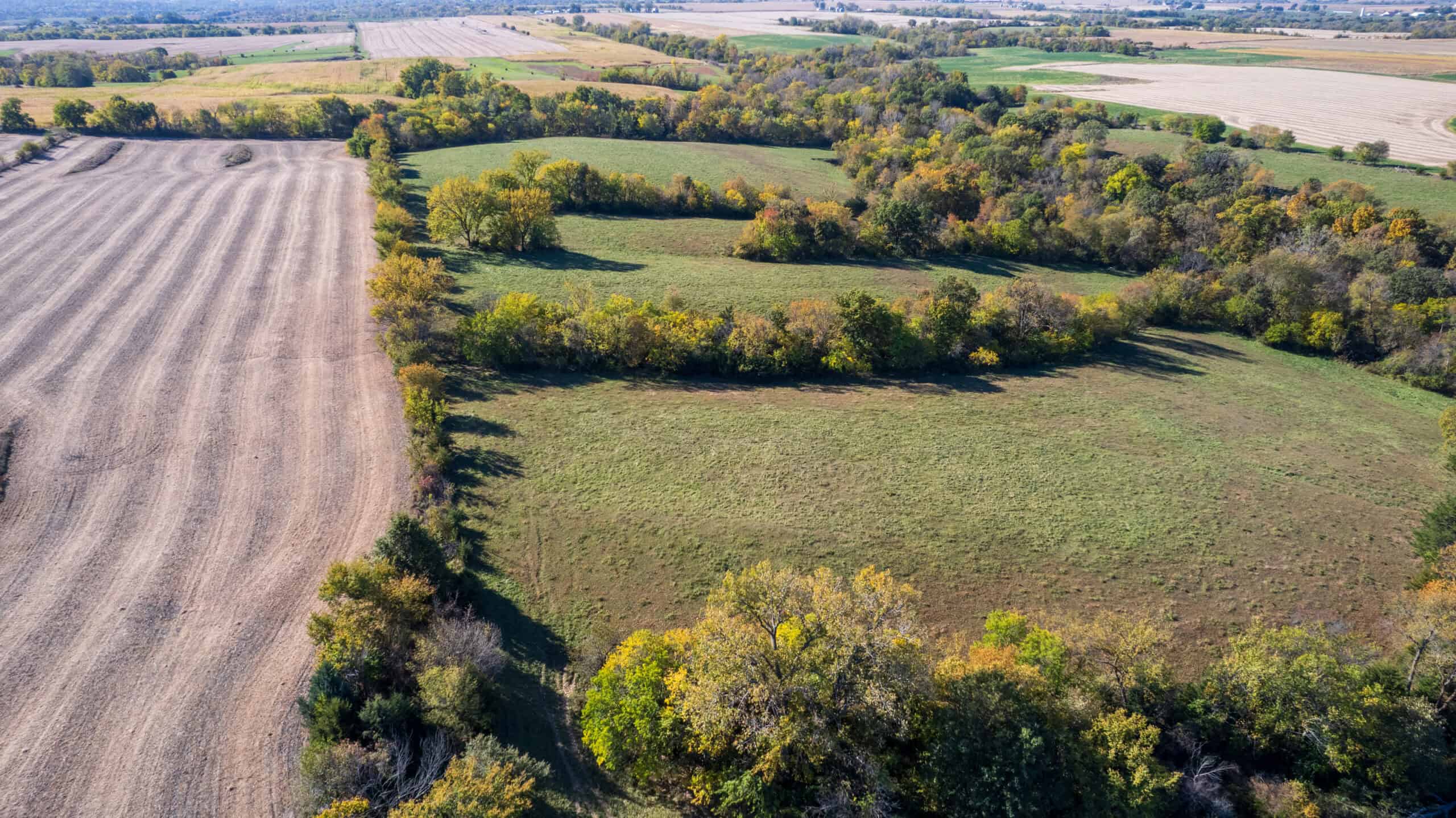 Marion County, Iowa – 143+/- Acre Combination Farm with Recreational and Hunting Potential