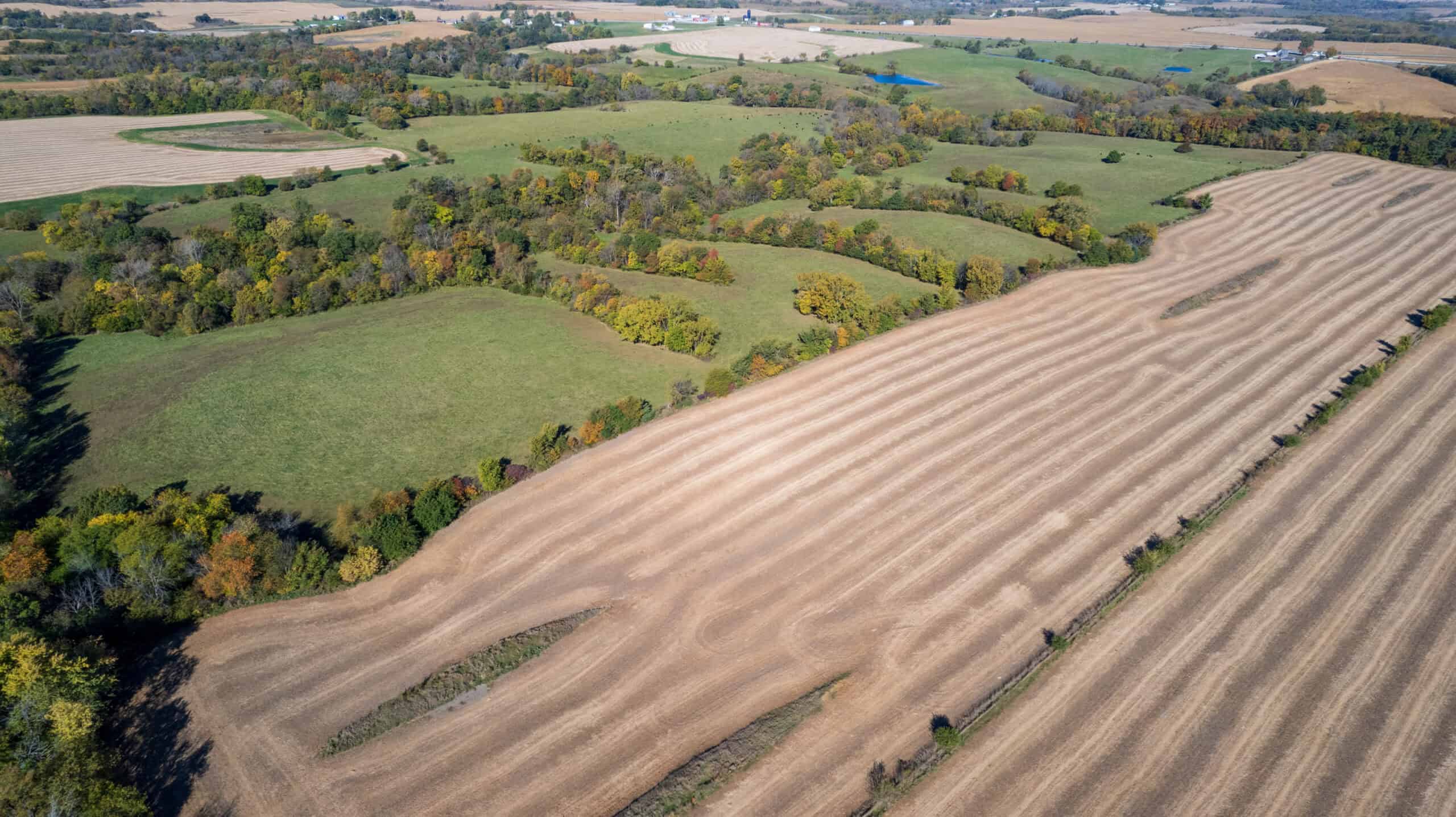 Marion County, Iowa – 143+/- Acre Combination Farm with Recreational and Hunting Potential