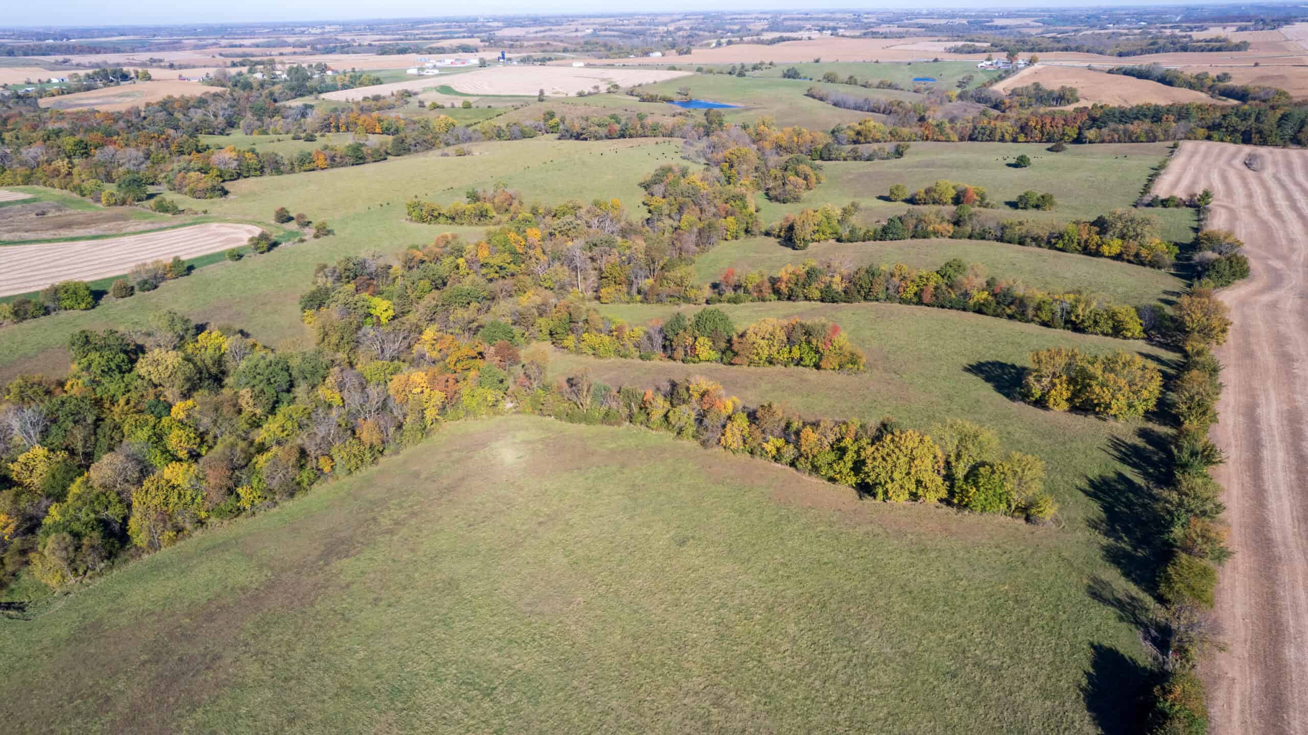Marion County, Iowa – 143+/- Acre Combination Farm with Recreational and Hunting Potential