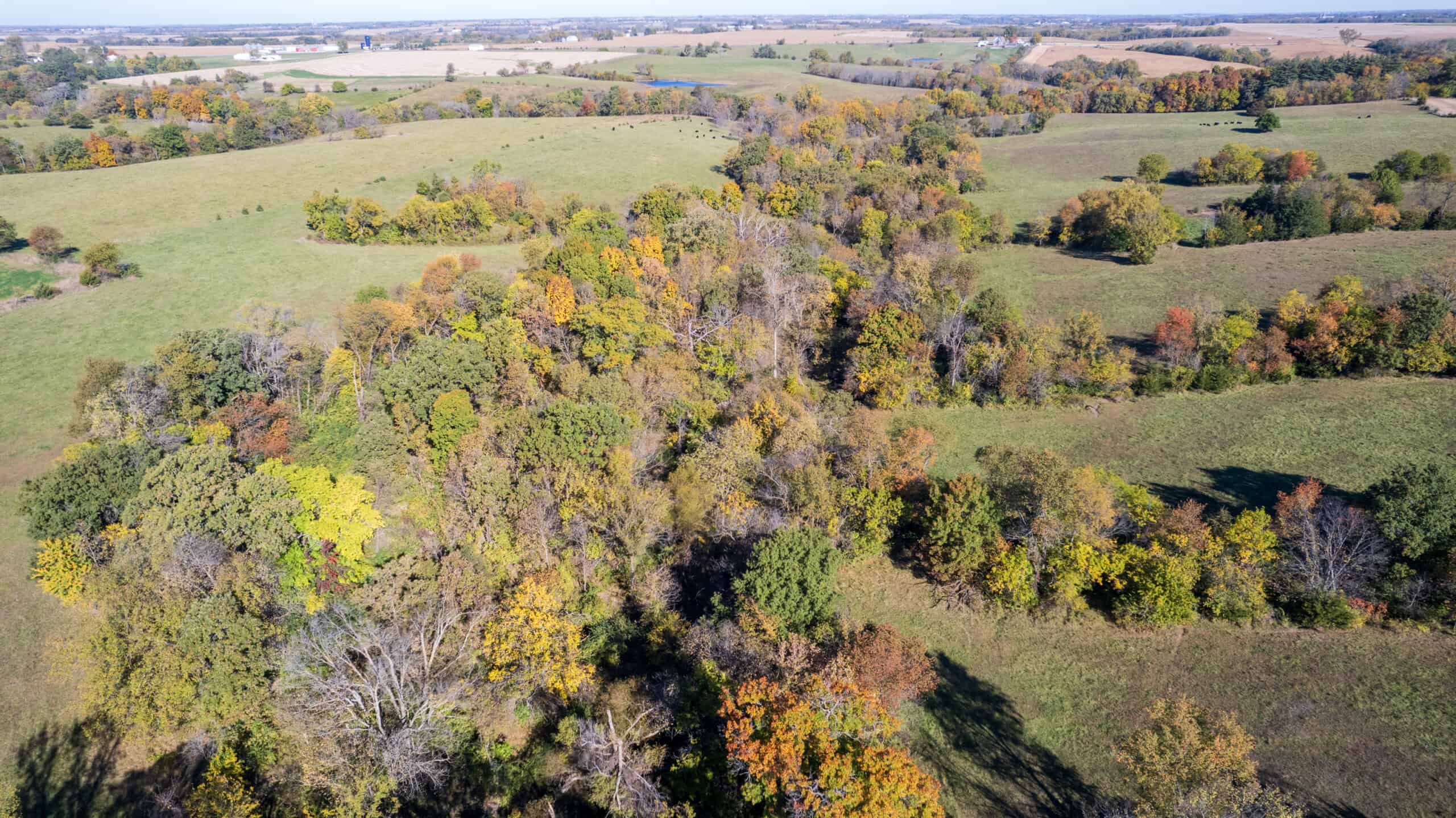 Marion County, Iowa – 143+/- Acre Combination Farm with Recreational and Hunting Potential