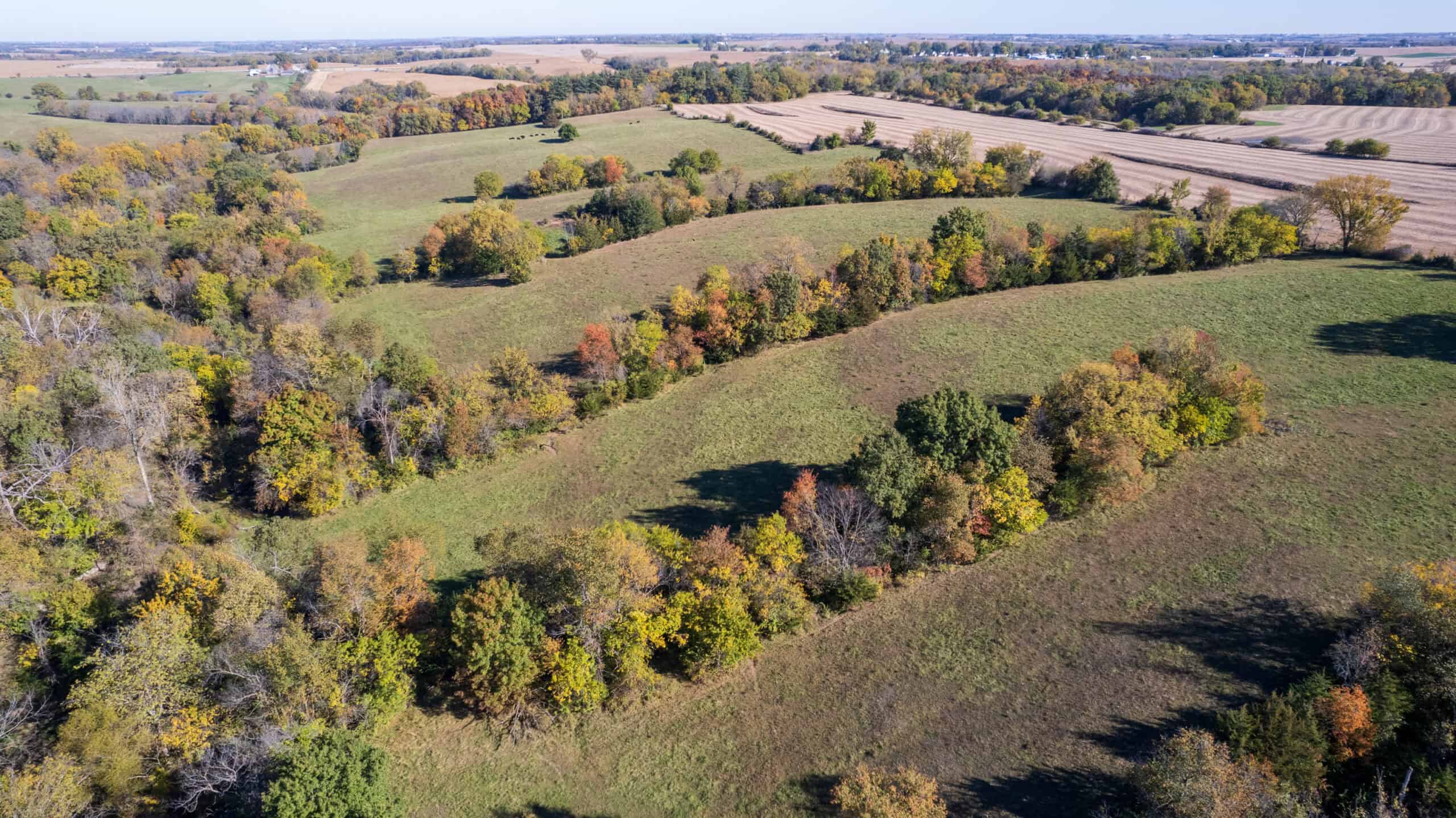 Marion County, Iowa – 143+/- Acre Combination Farm with Recreational and Hunting Potential