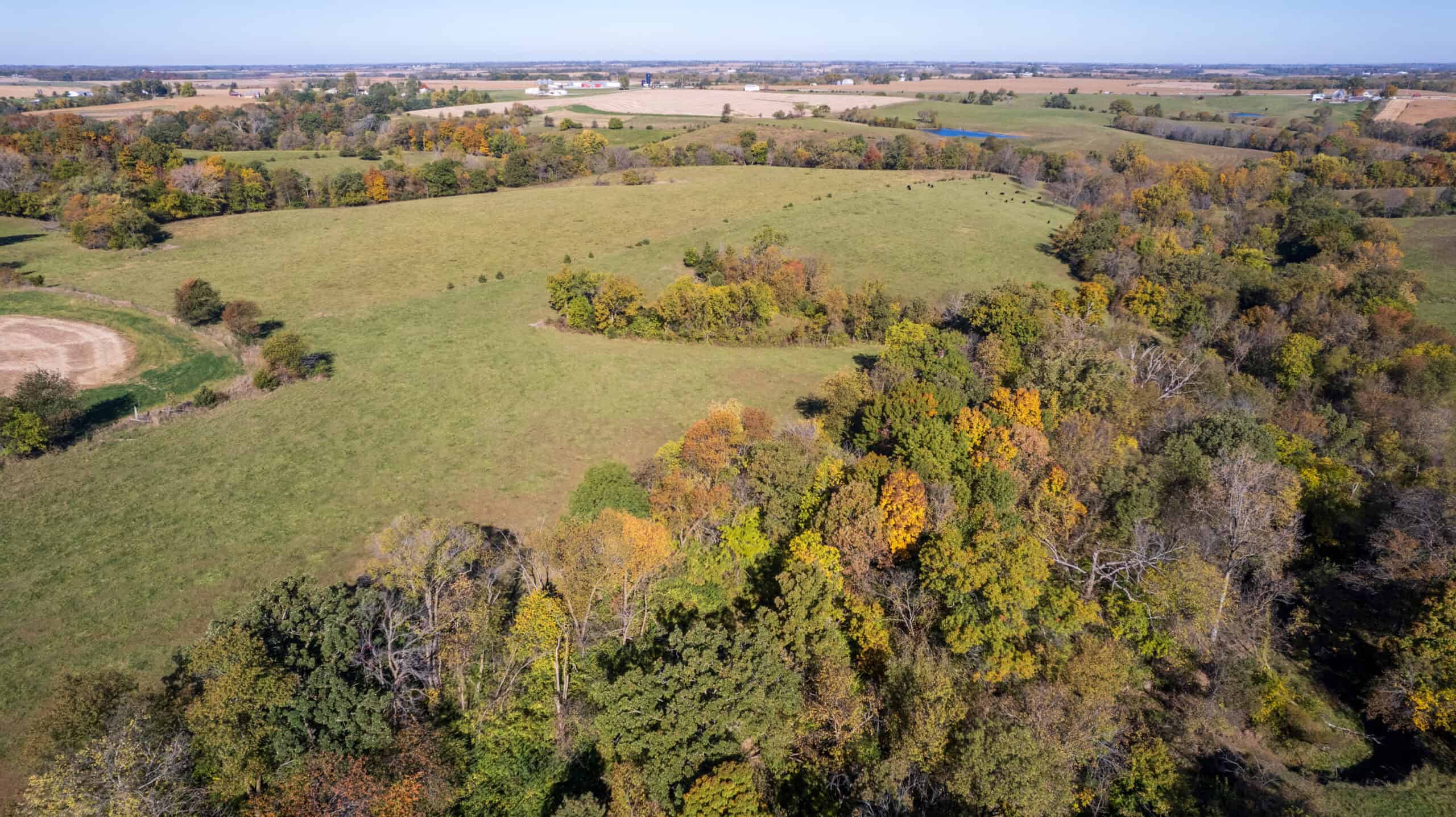 Marion County, Iowa – 143+/- Acre Combination Farm with Recreational and Hunting Potential